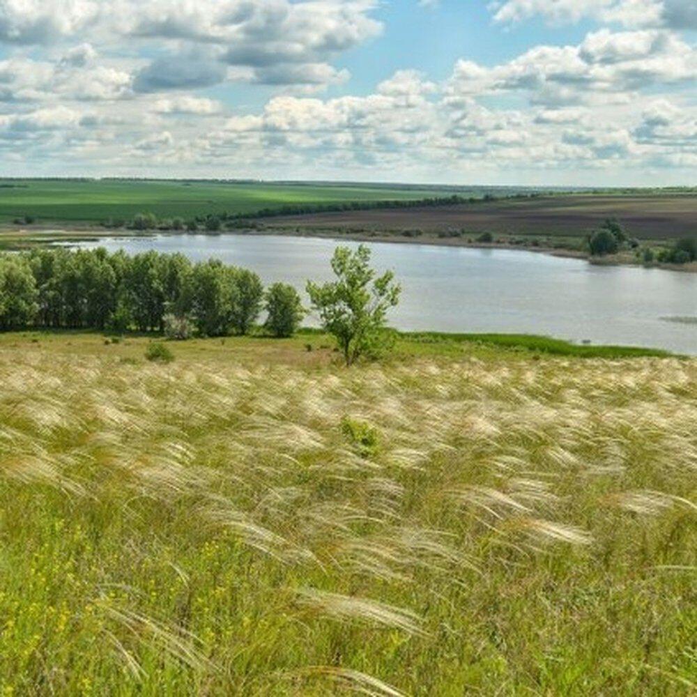 Релиз Хуторяне