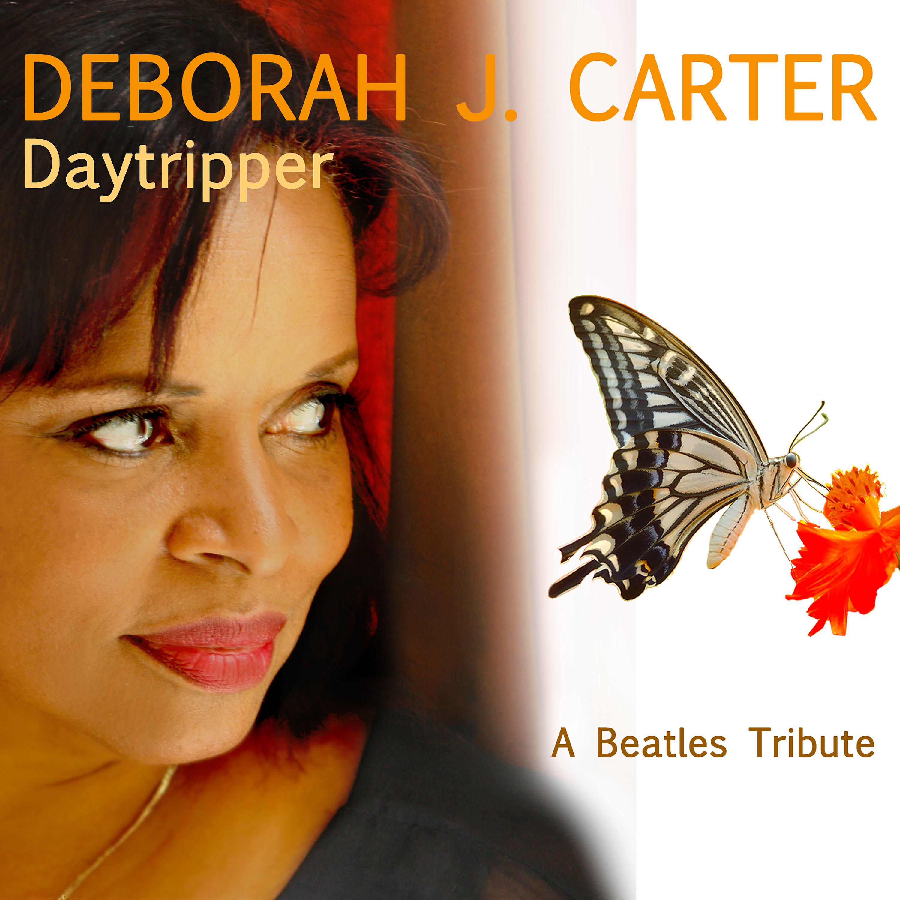 Релиз Daytripper