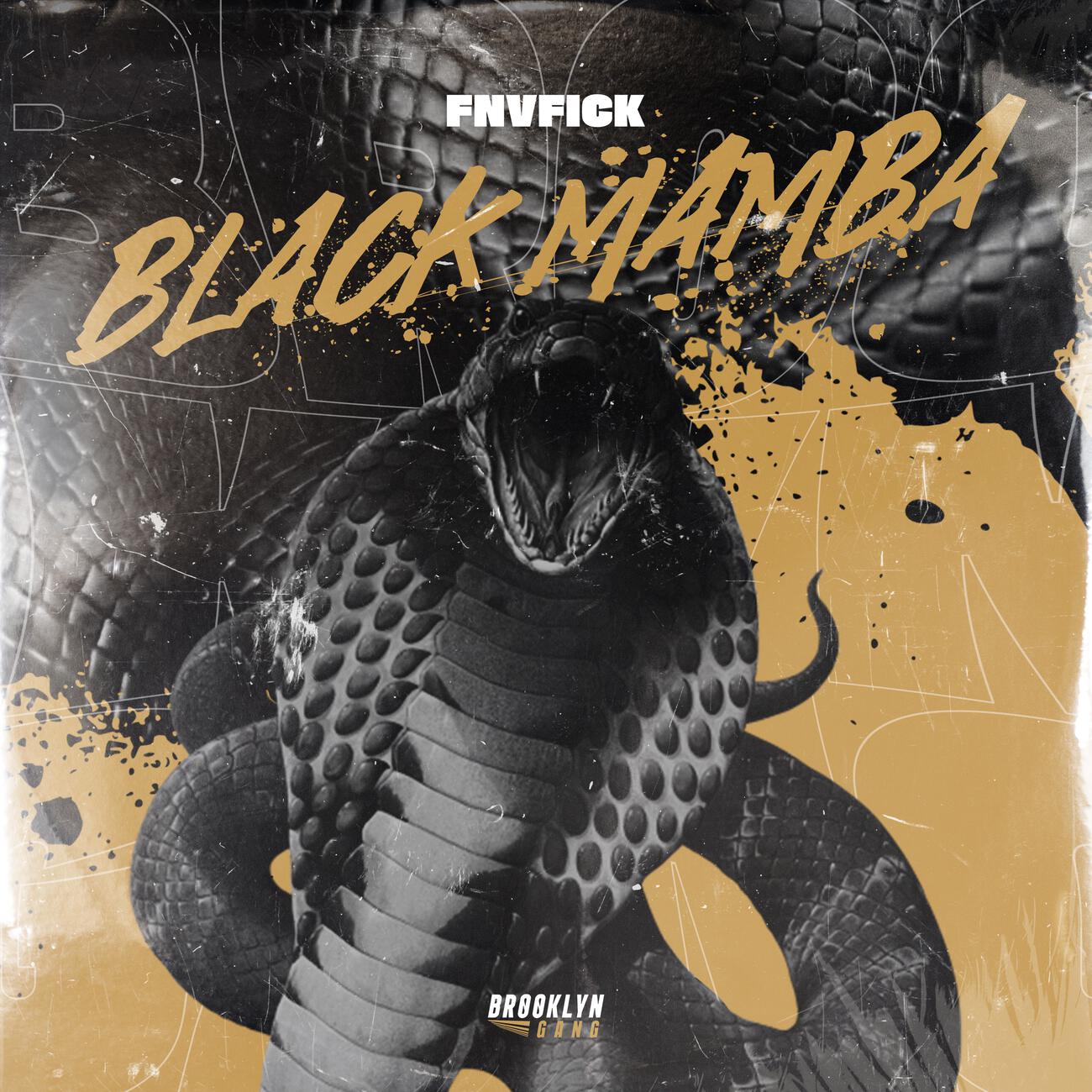 Релиз Black Mamba