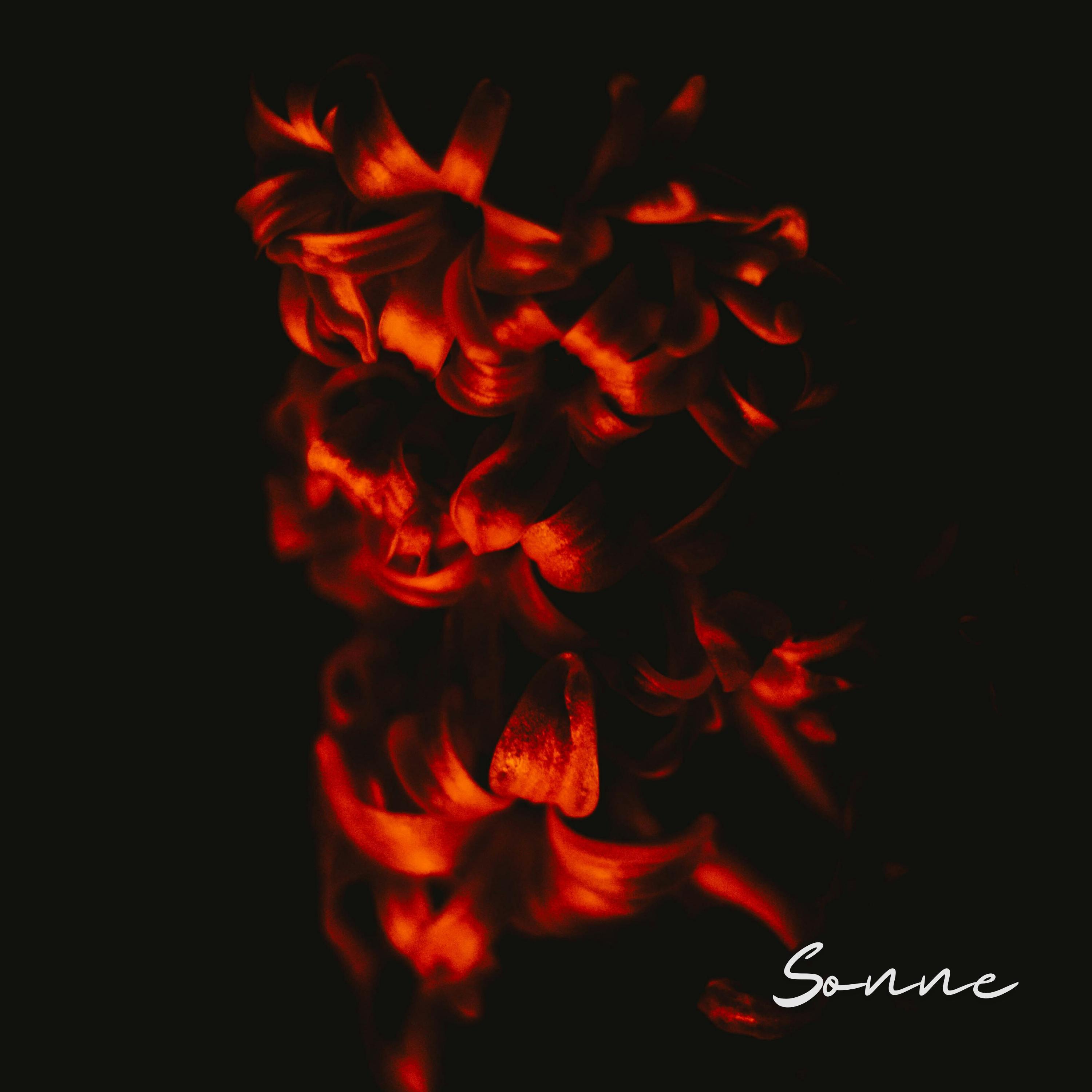 Релиз Sonne (Electronica)