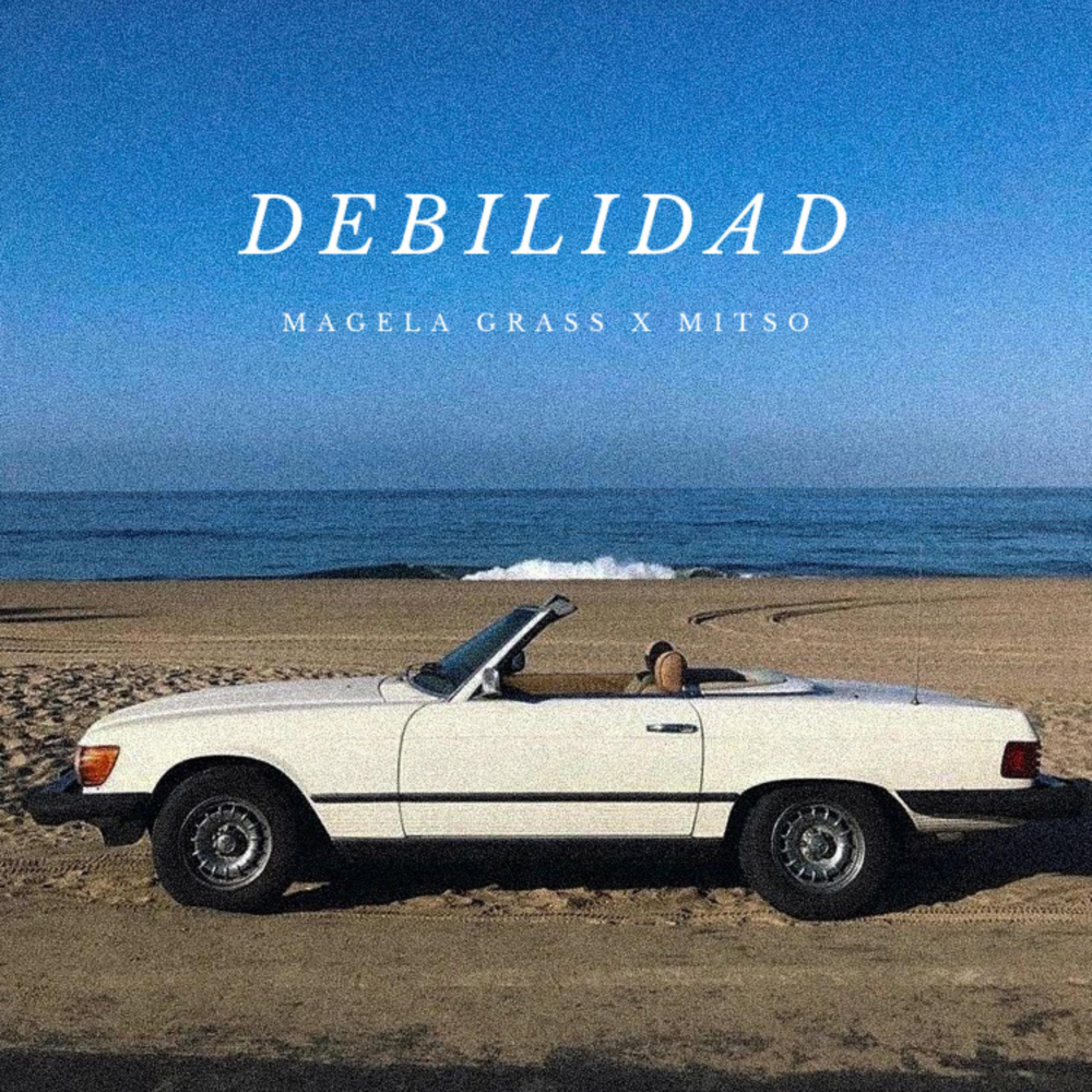 Релиз DEBILIDAD