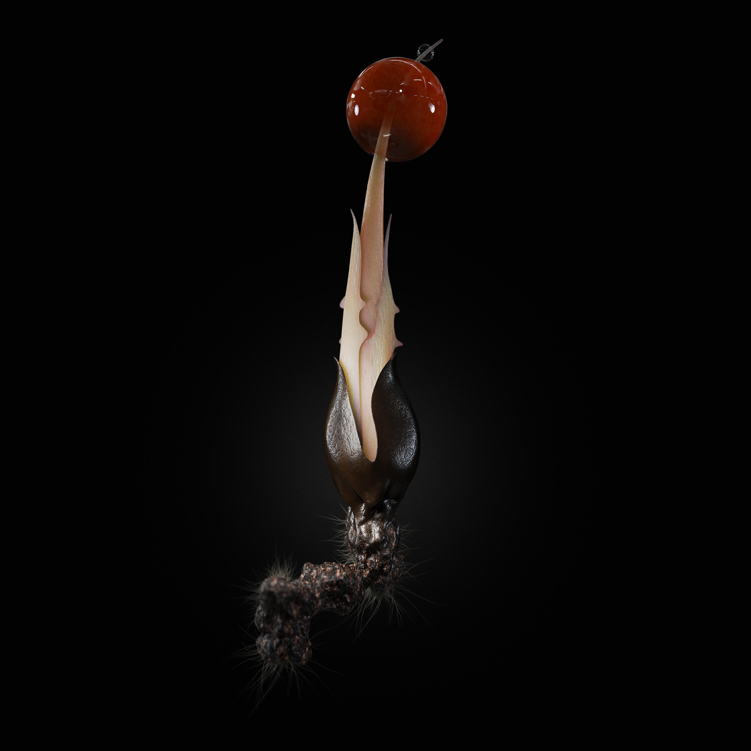 Релиз Joe Moon