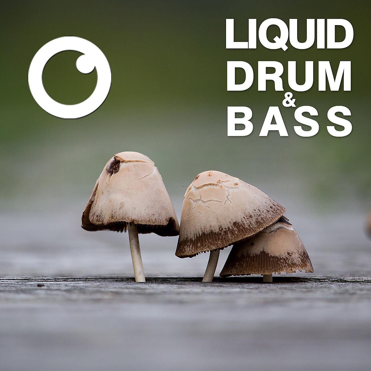 Релиз Liquid Drum & Bass Sessions 2020 Vol 20 : The Mix