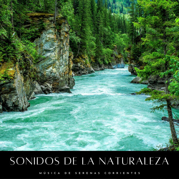 Релиз Sonidos De La Naturaleza: Música De Serenas Corrientes