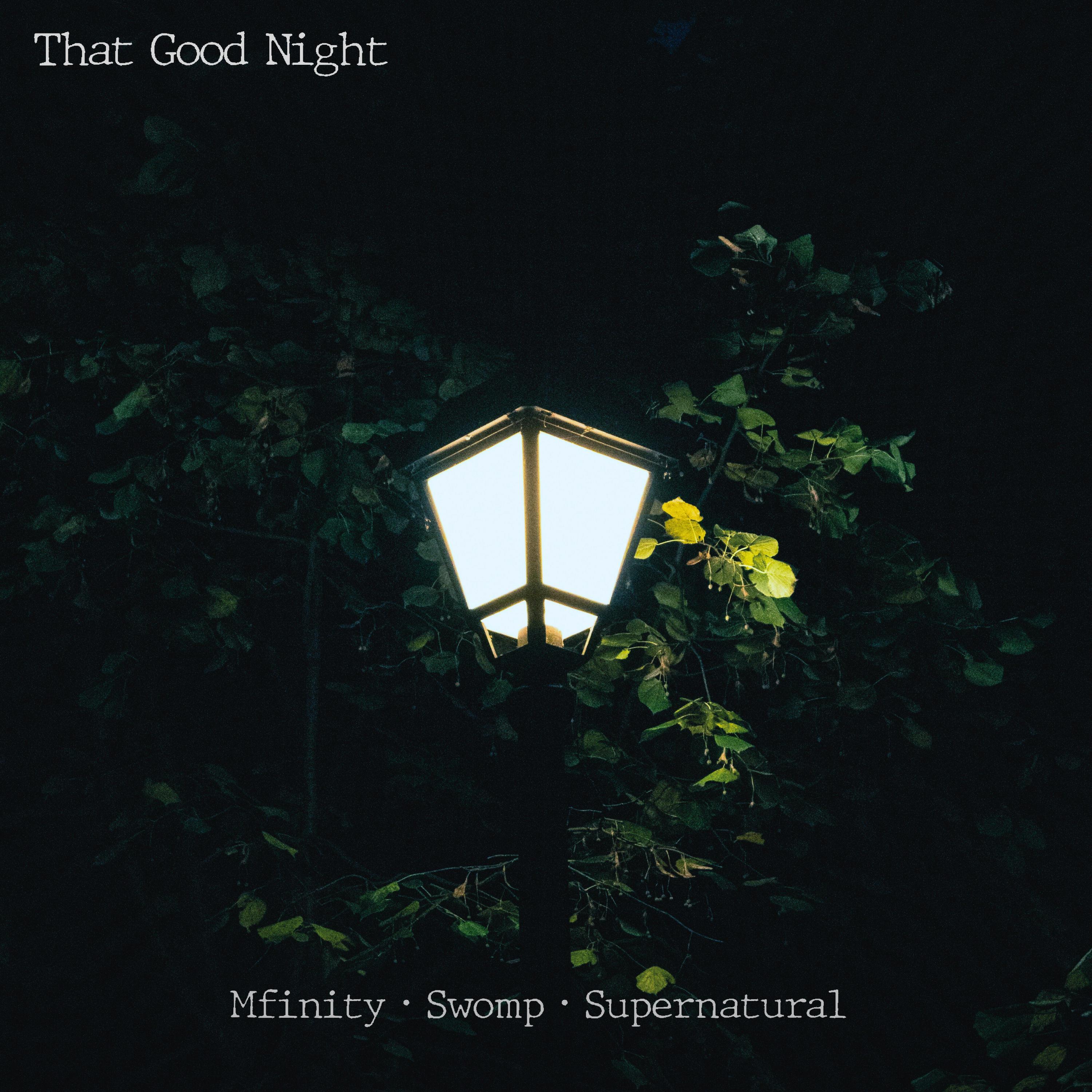 Релиз That Good Night