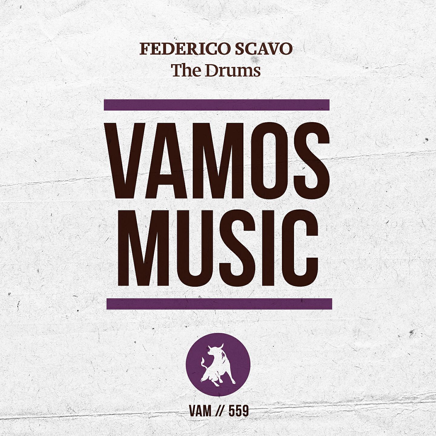 Релиз The Drums