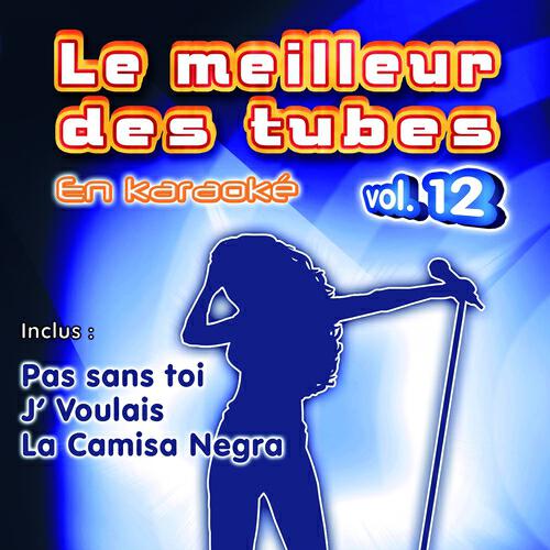 Постер альбома Le meilleur des tubes en karaoké