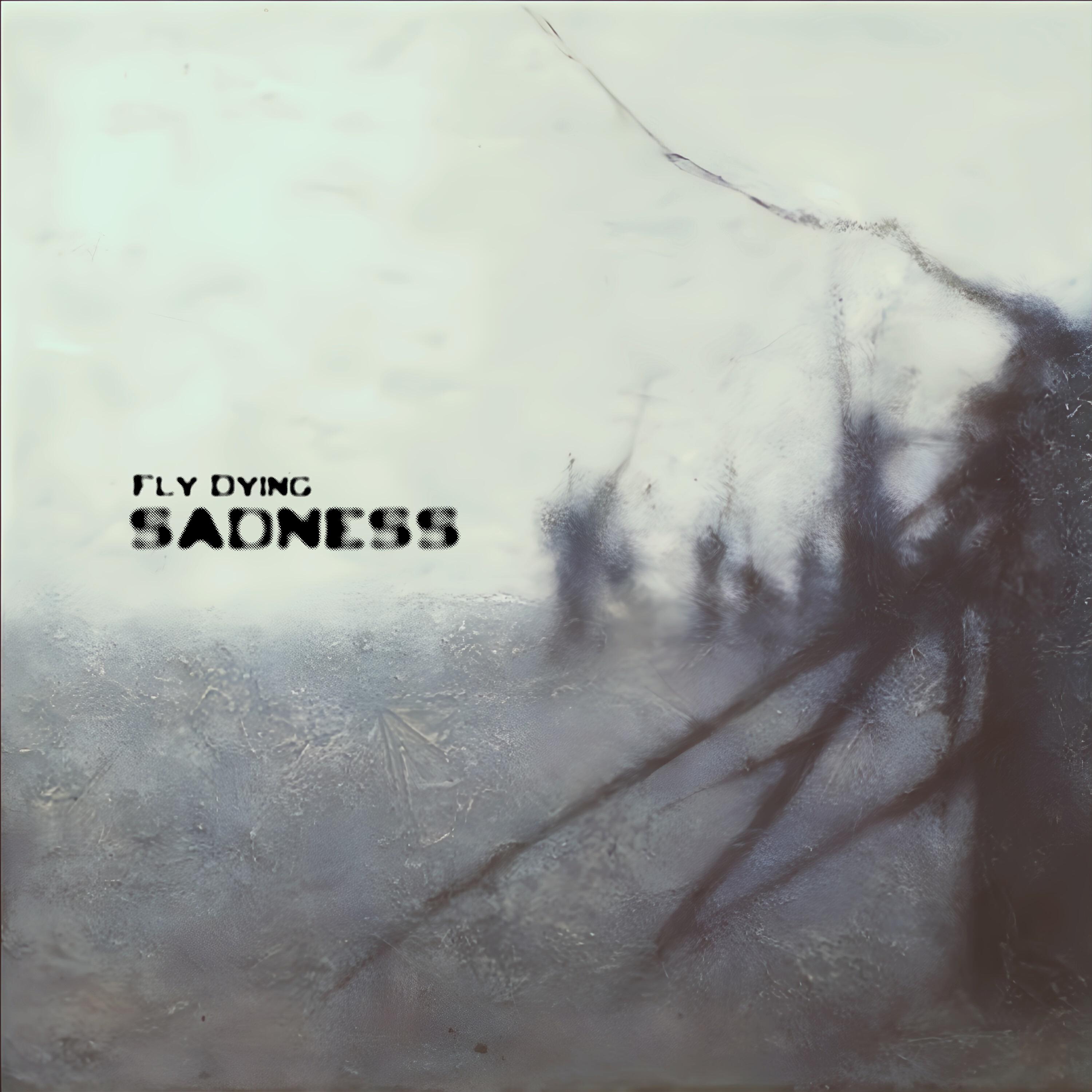 Релиз Sadness