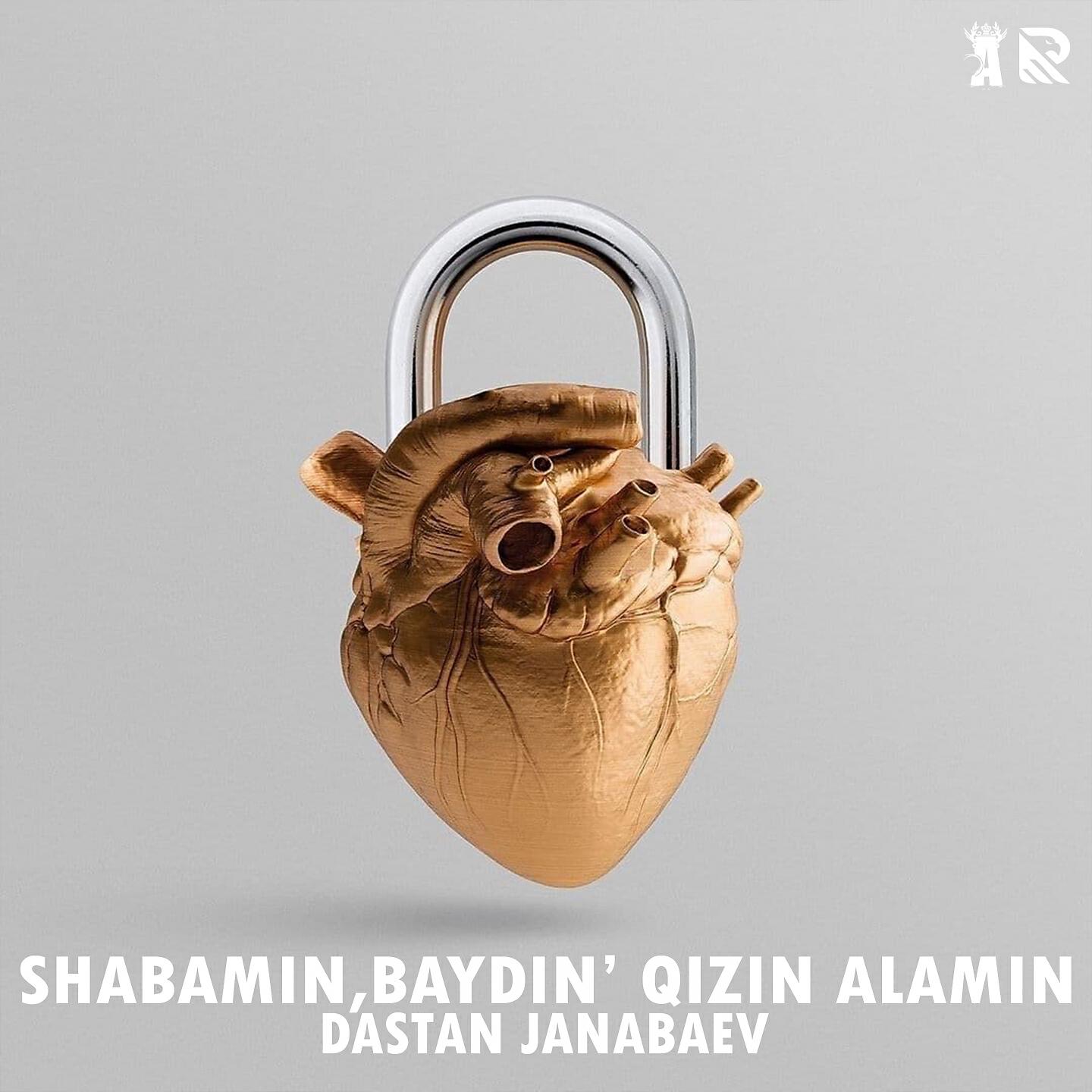 Релиз Shabamin, Baydin' Qizin Alamin