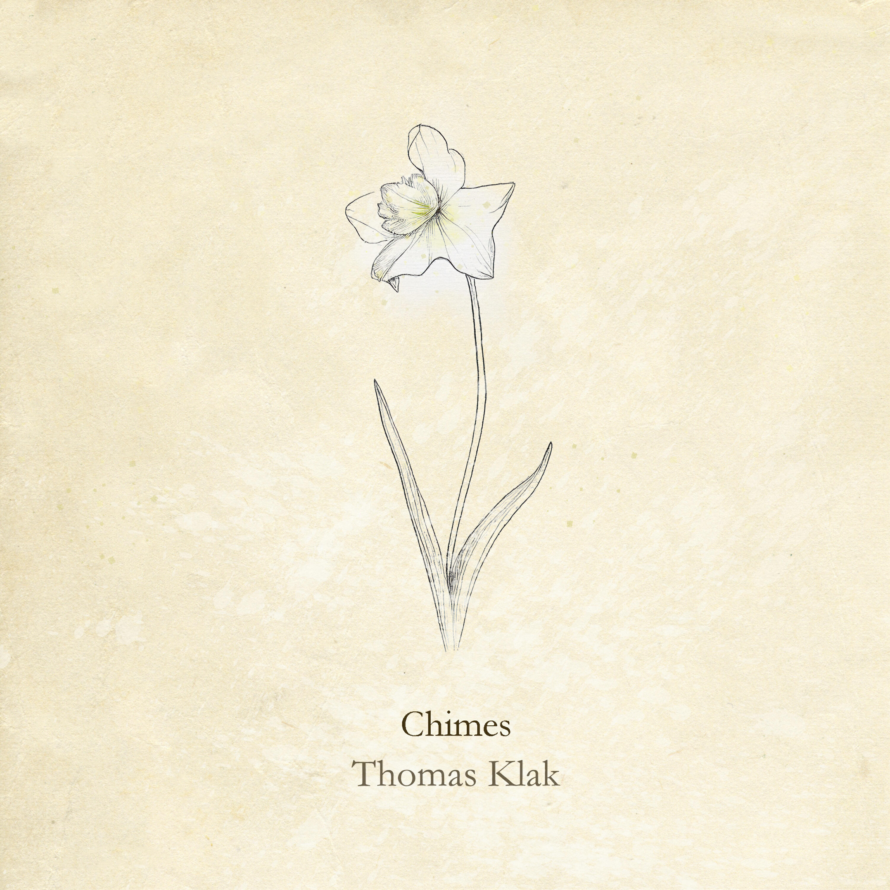 Релиз Chimes