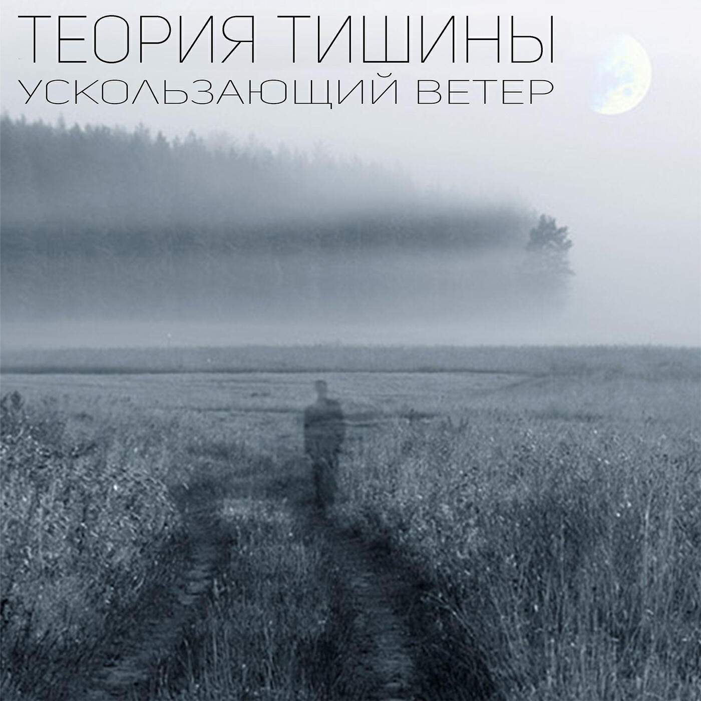 Теория Тишины
