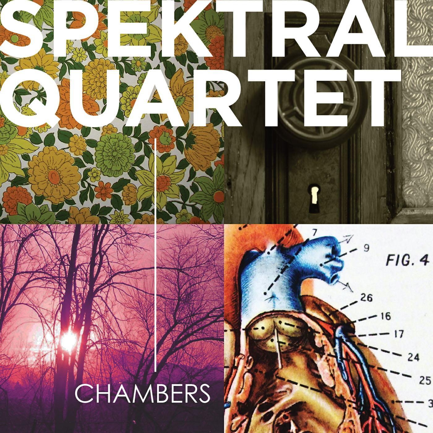 Релиз Chambers