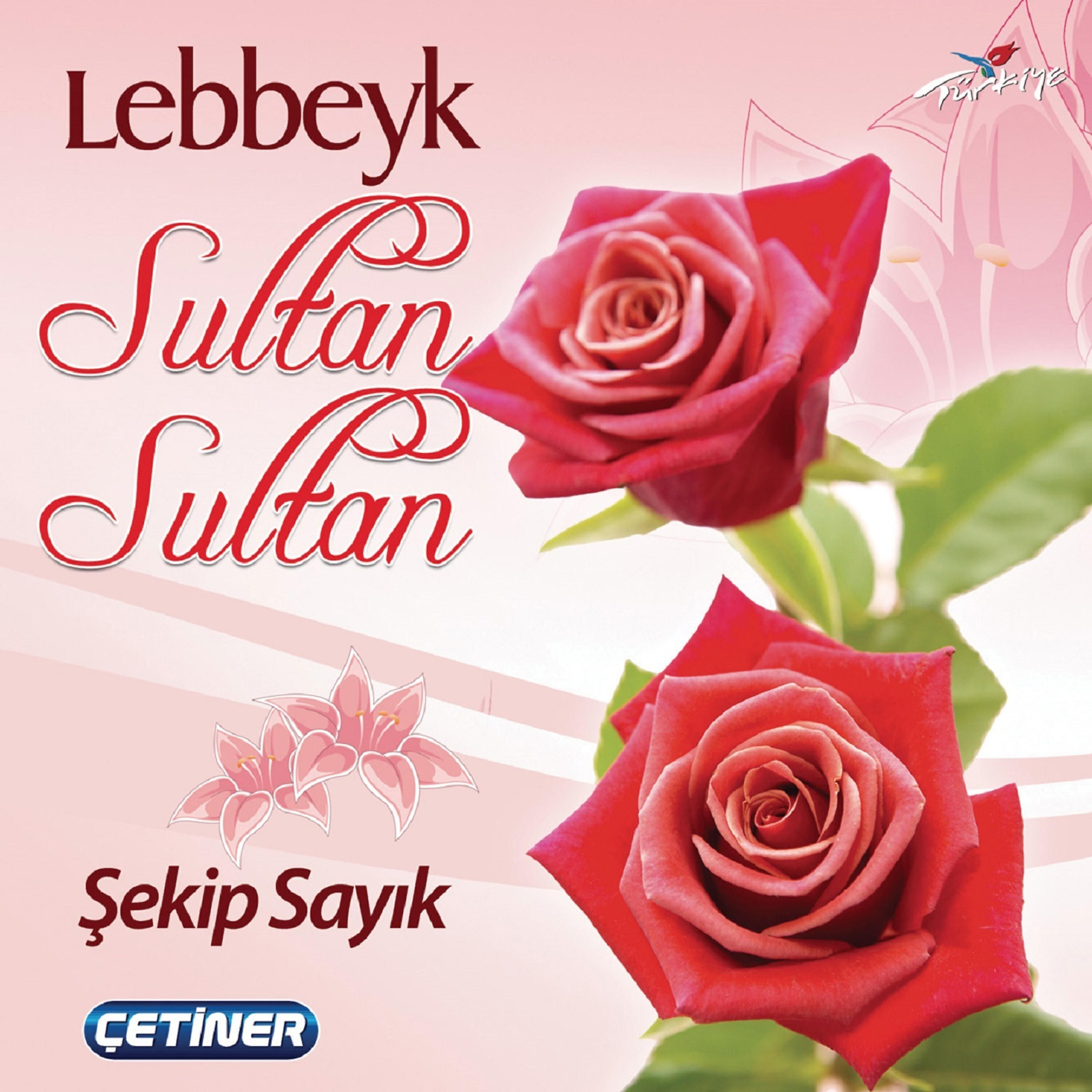 Релиз Sultan Sultan