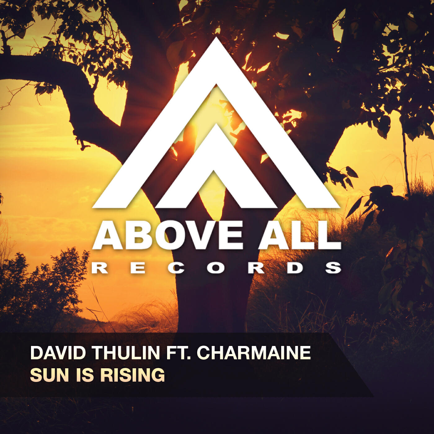 Релиз Sun is Rising