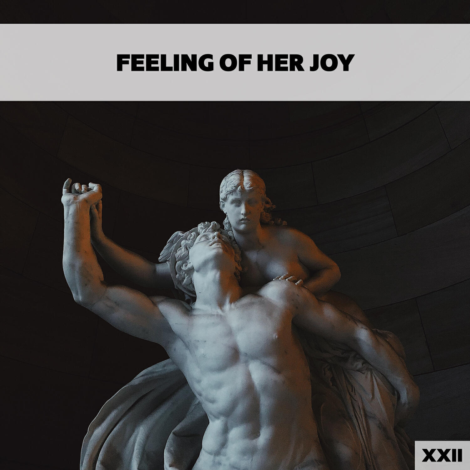 Релиз Feeling Of Her Joy XXII
