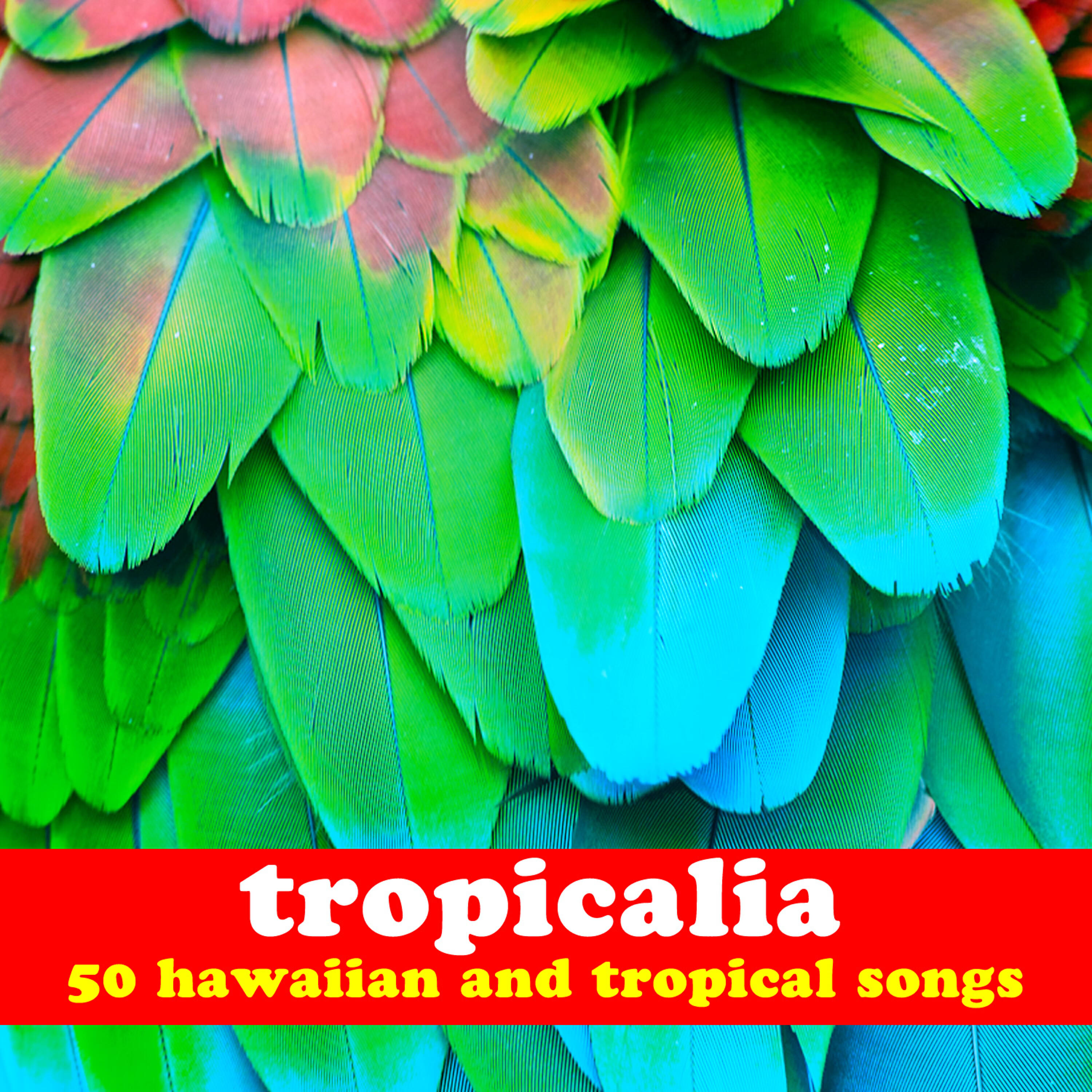 Релиз Tropicalia: 50 Hawaiian and Tropical Songs