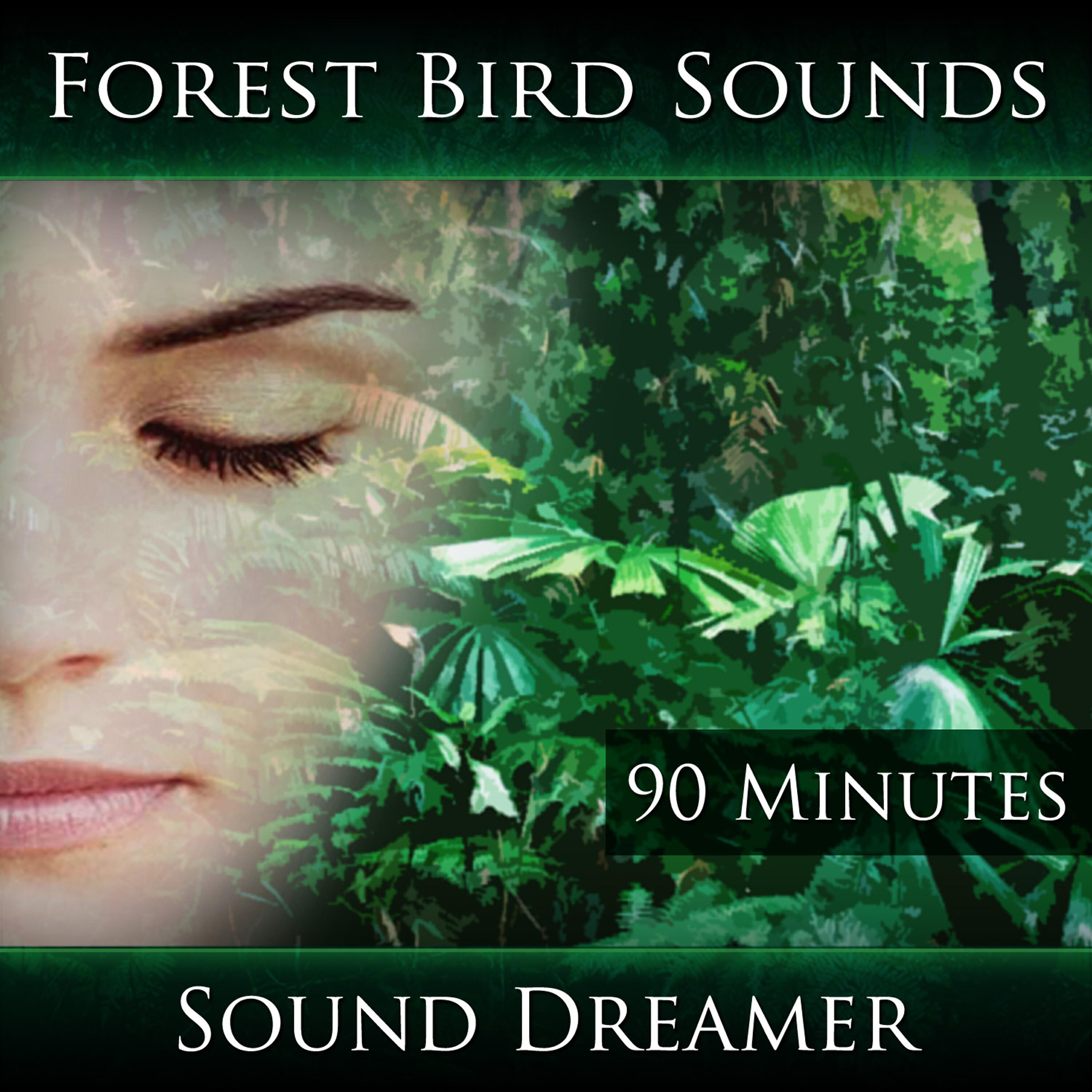 Релиз Forest Bird Sounds - 90 Minutes