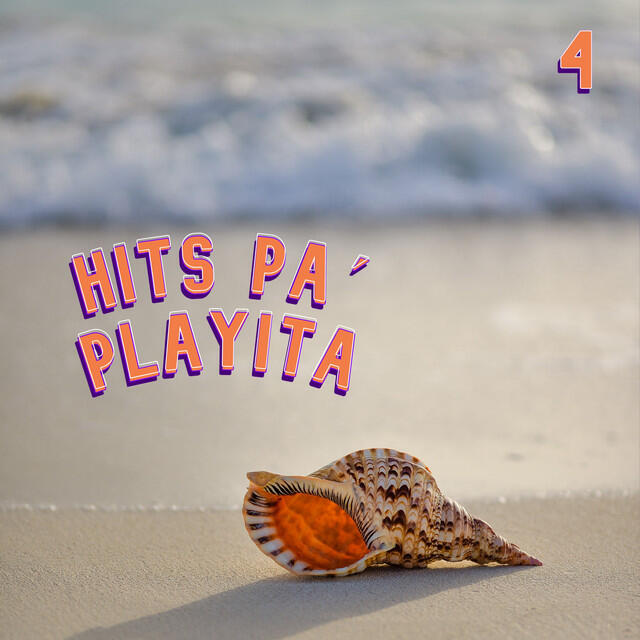 Постер альбома Hits Pa´ Playita Vol. 4