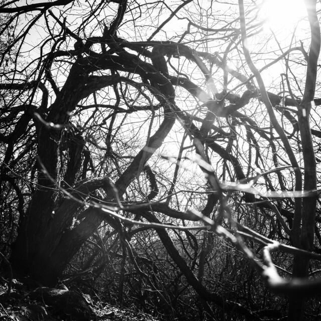 Релиз From Roots We Rise - Remixed