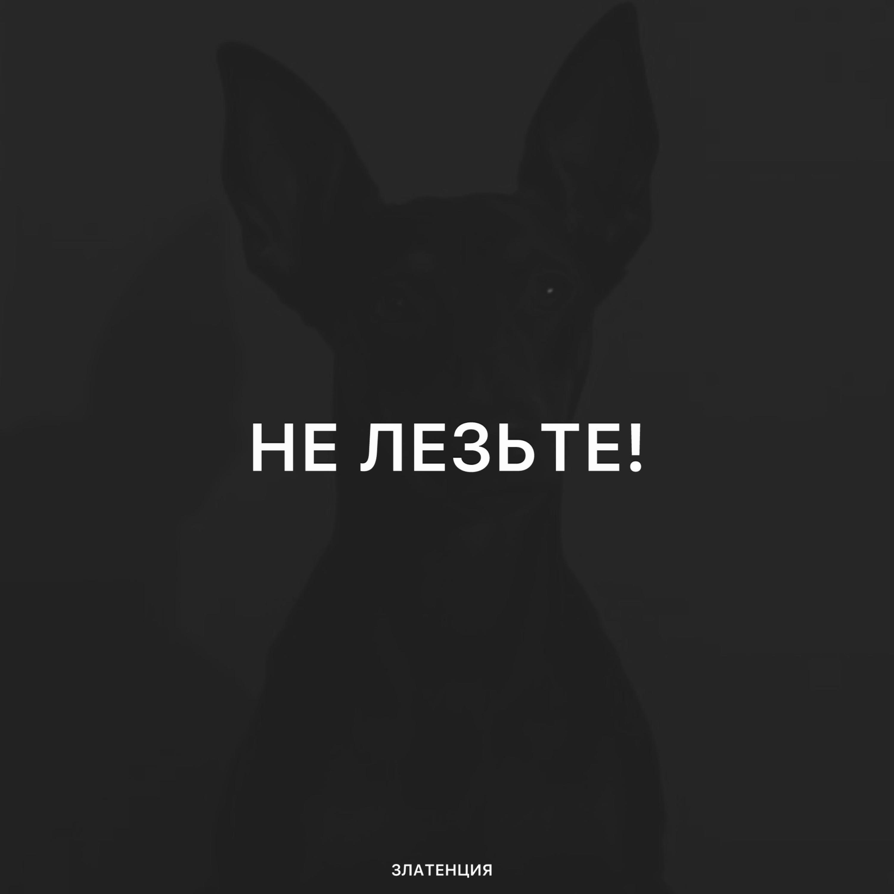 Релиз Не лезьте!