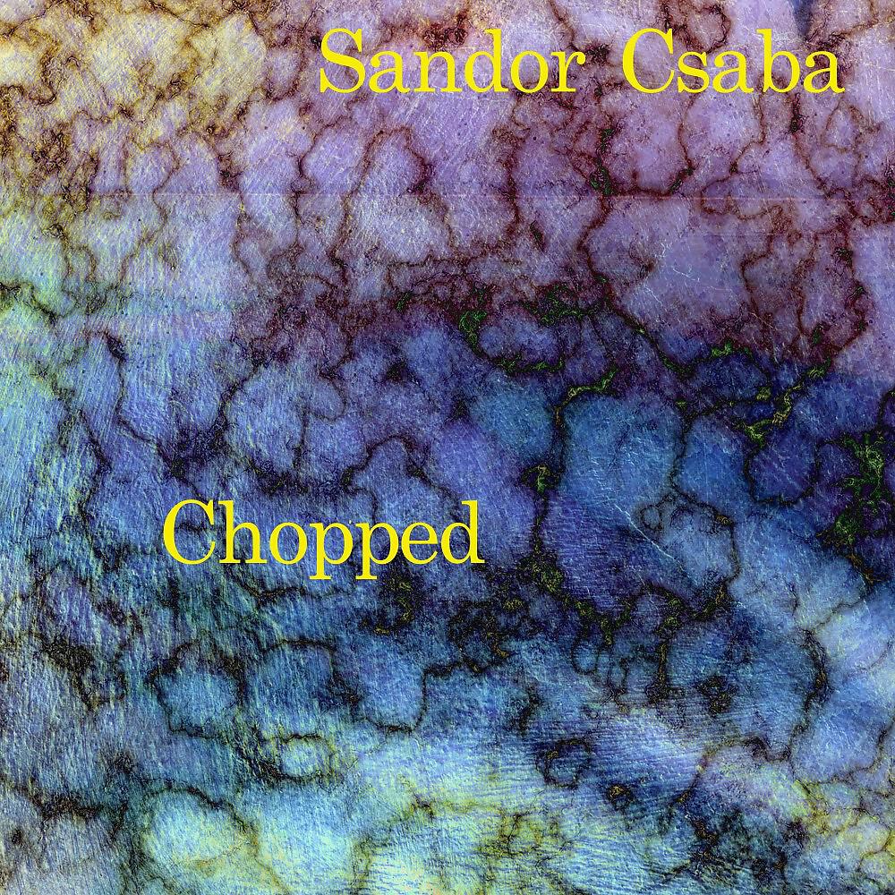 Sandor Csaba