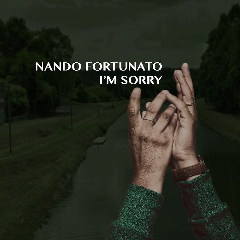 Релиз I'm Sorry (Extended Mix)