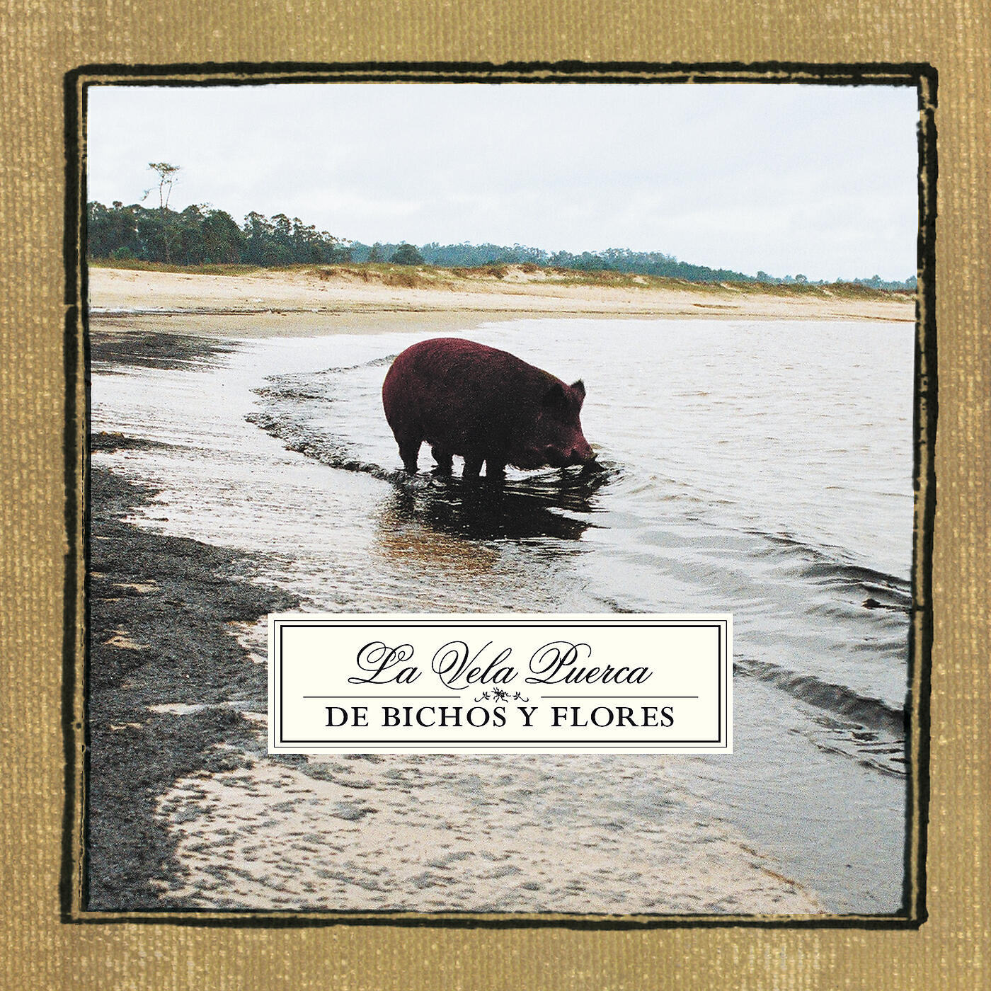 Релиз De Bichos Y Flores