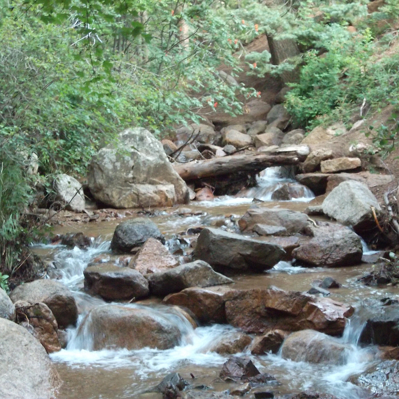 Релиз Bear Creek