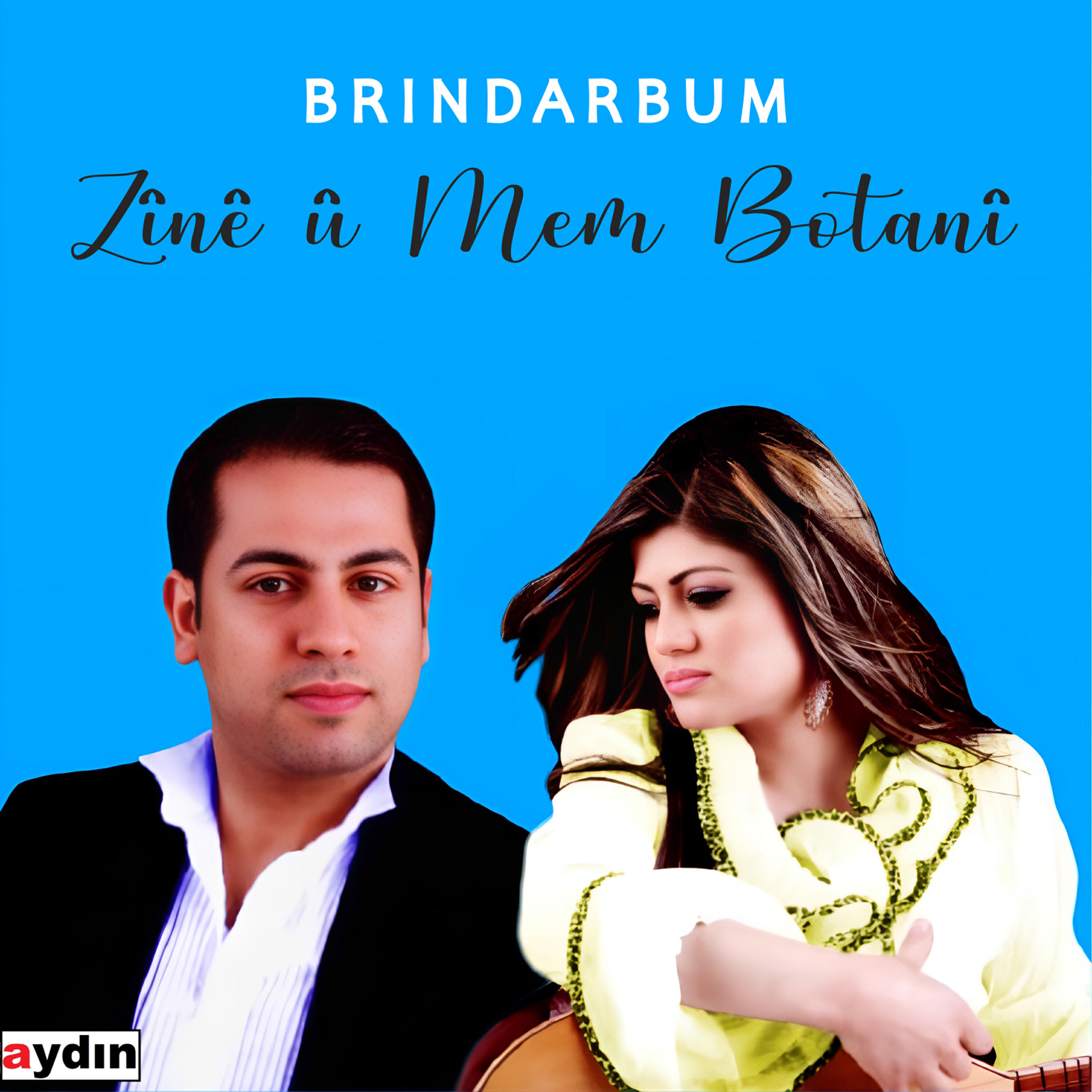 Релиз Brindarbum