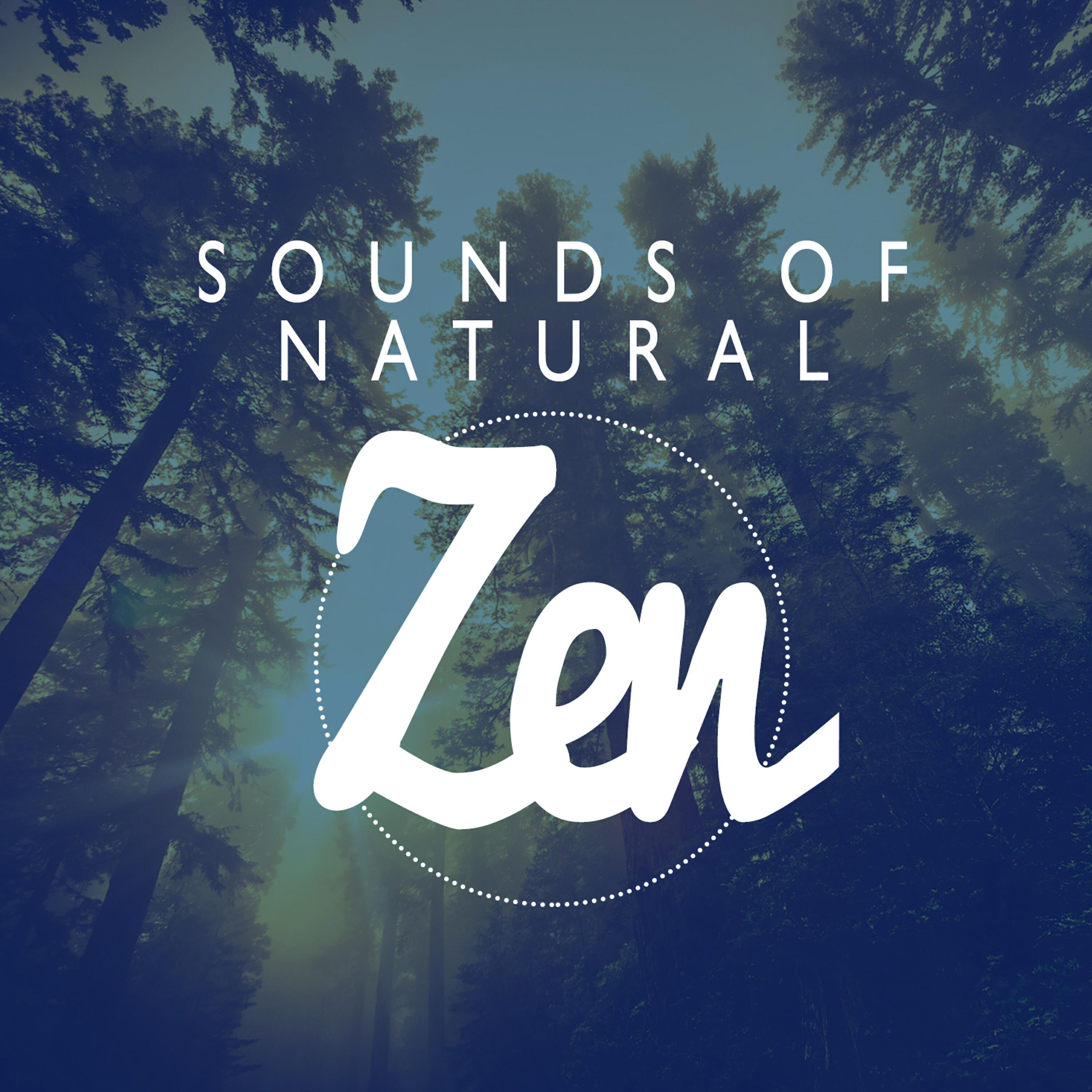 Релиз Sounds of Natural Zen