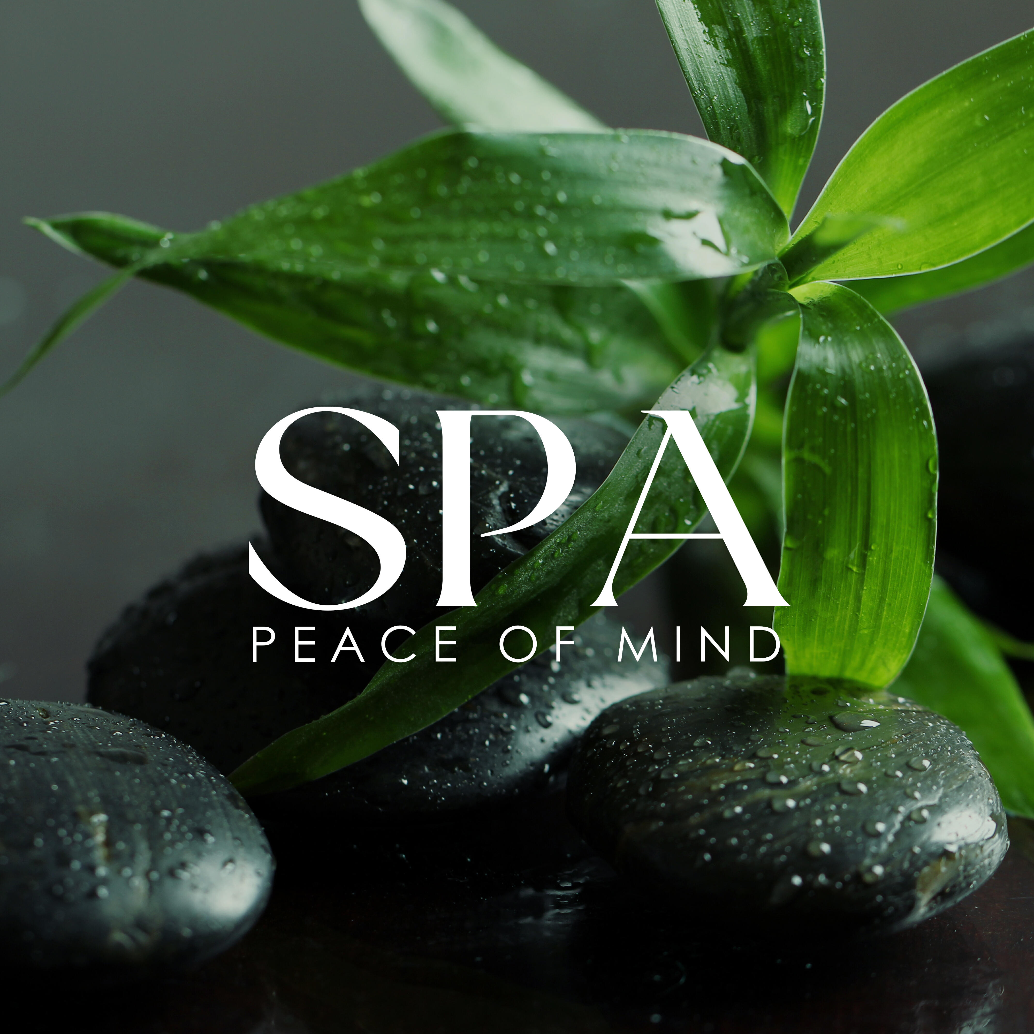 Релиз SPA Peace of Mind: Magic Calming Music for Best Spa Experience