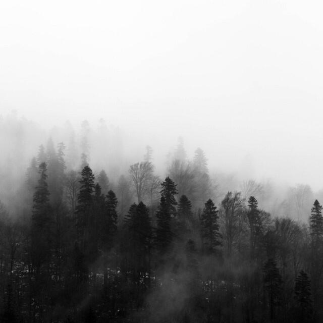 Релиз 50 Healing Sounds for Sleep