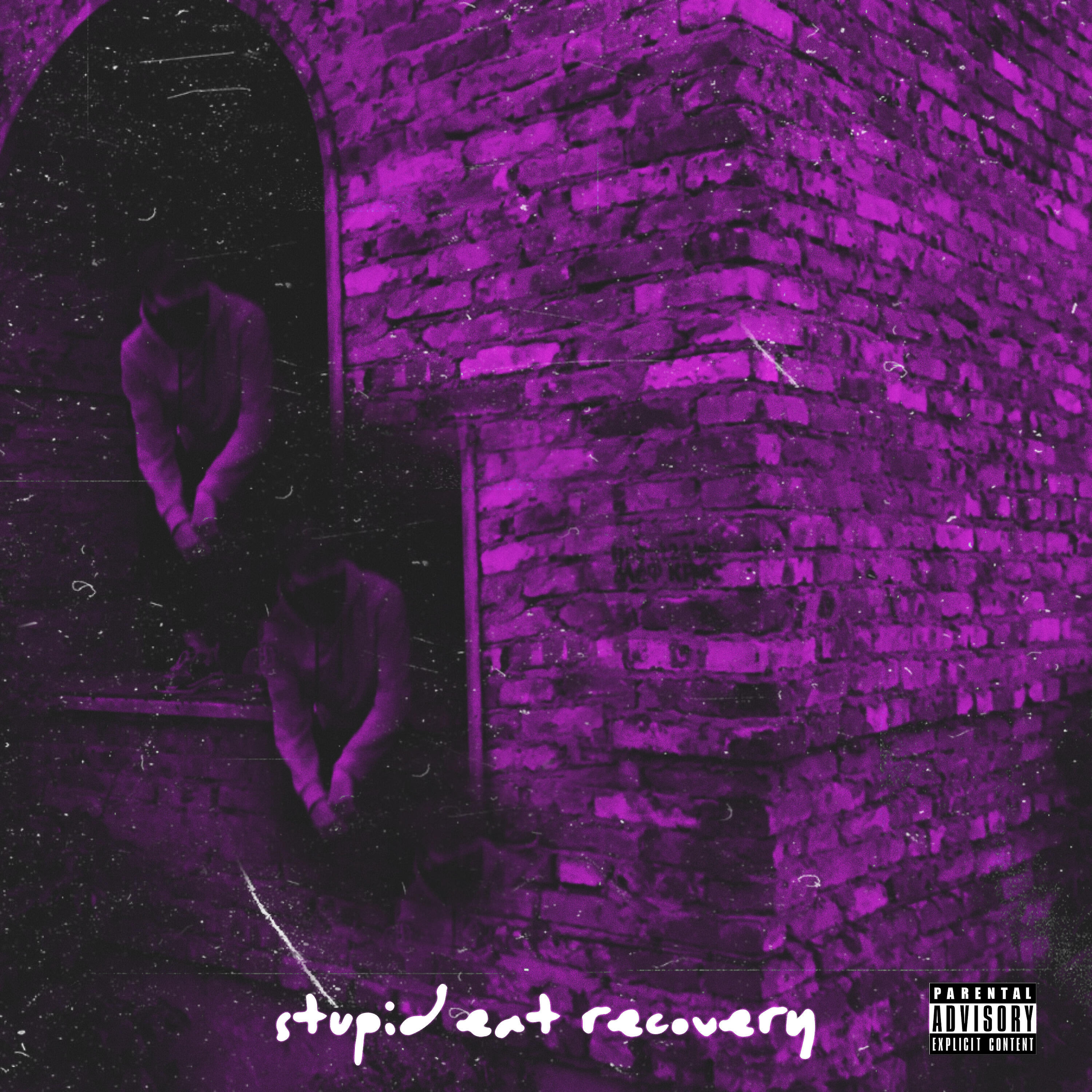 Релиз Stupid Eat Recovery