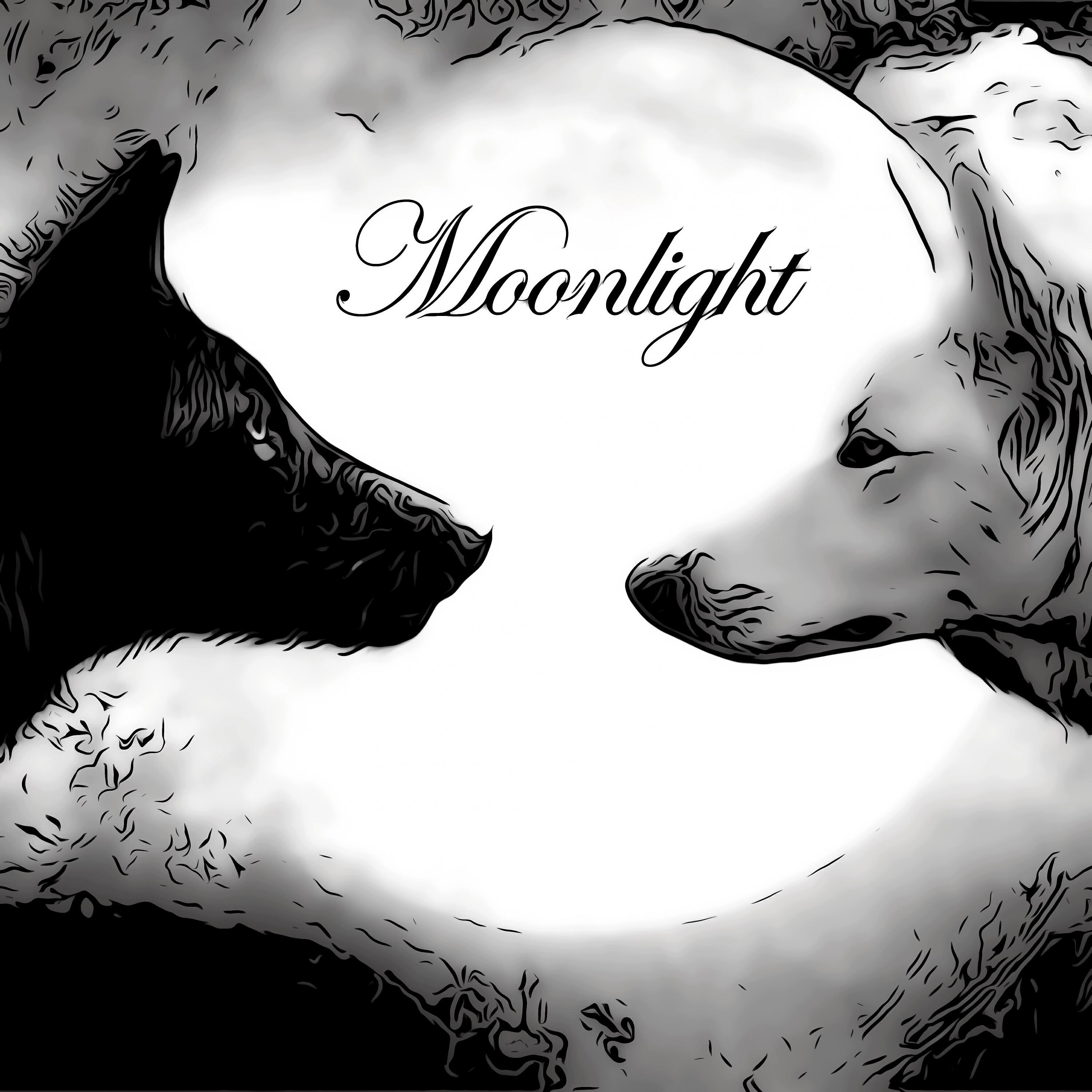 Релиз Moonlight