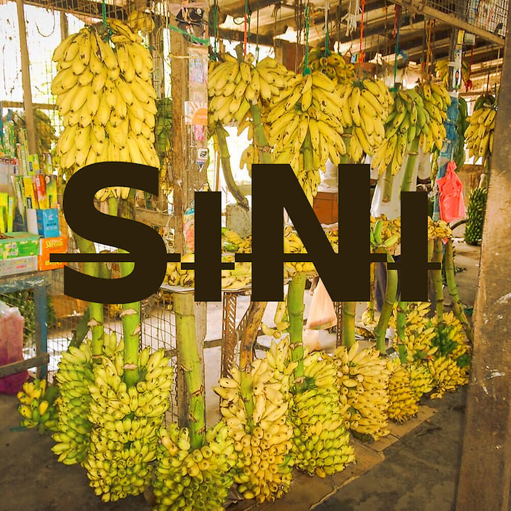 Релиз Sini