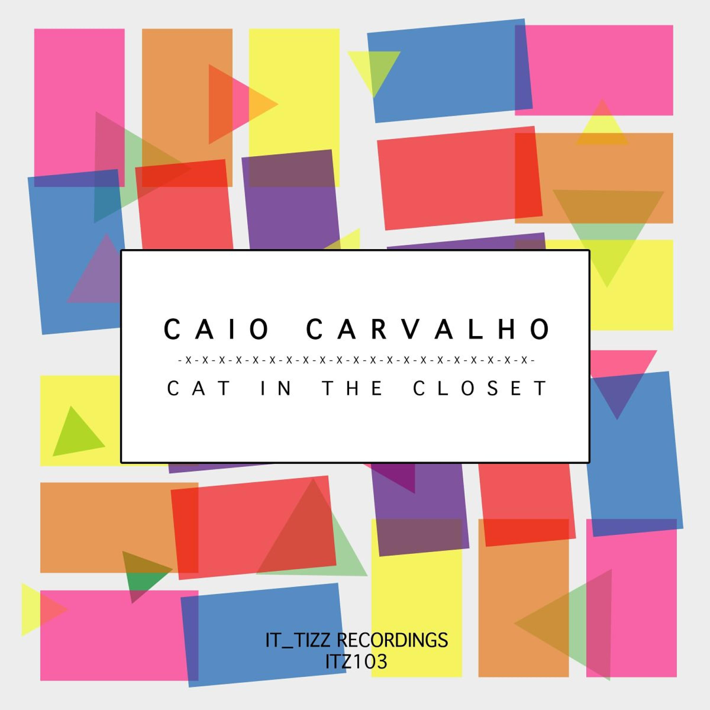 Релиз Cat in the Closet