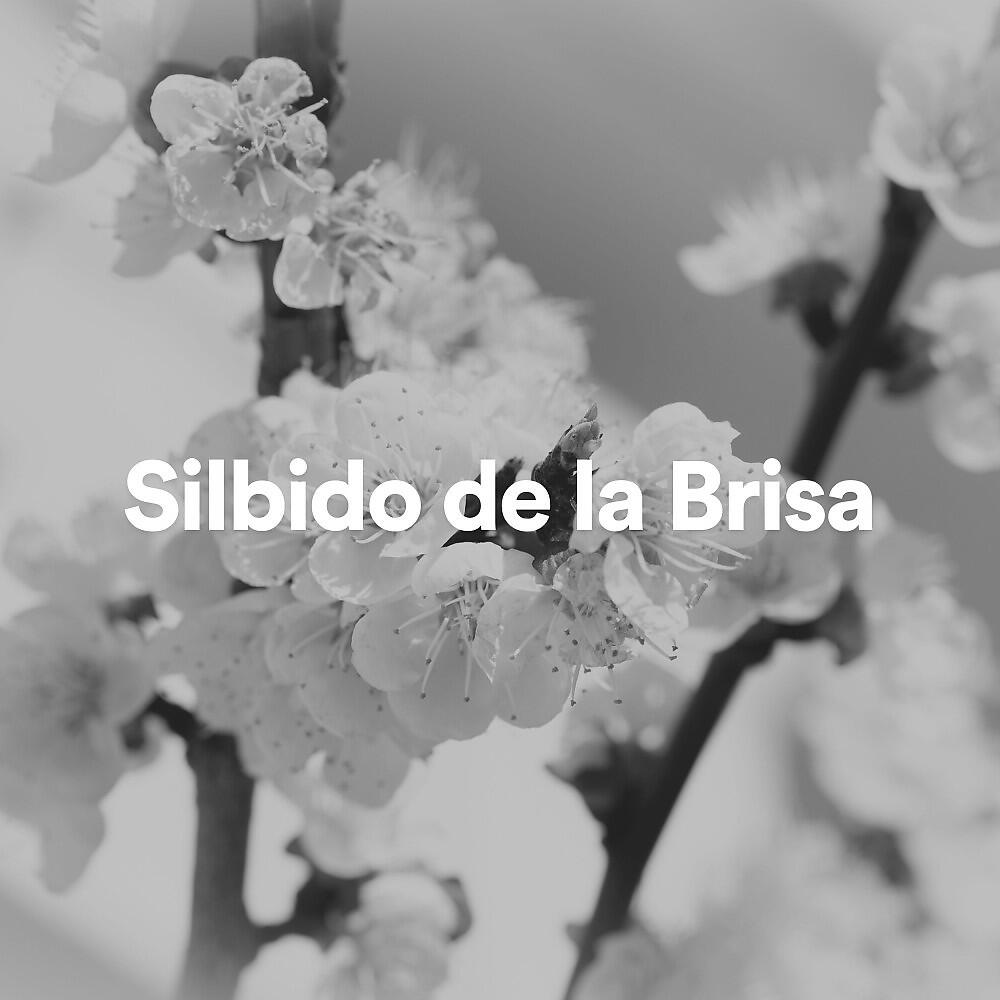 Релиз Silbido de la Brisa
