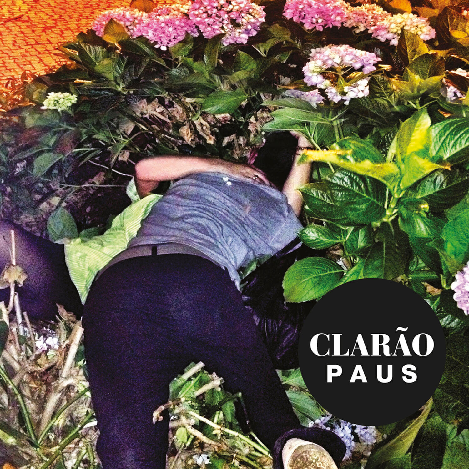 Релиз Clarão