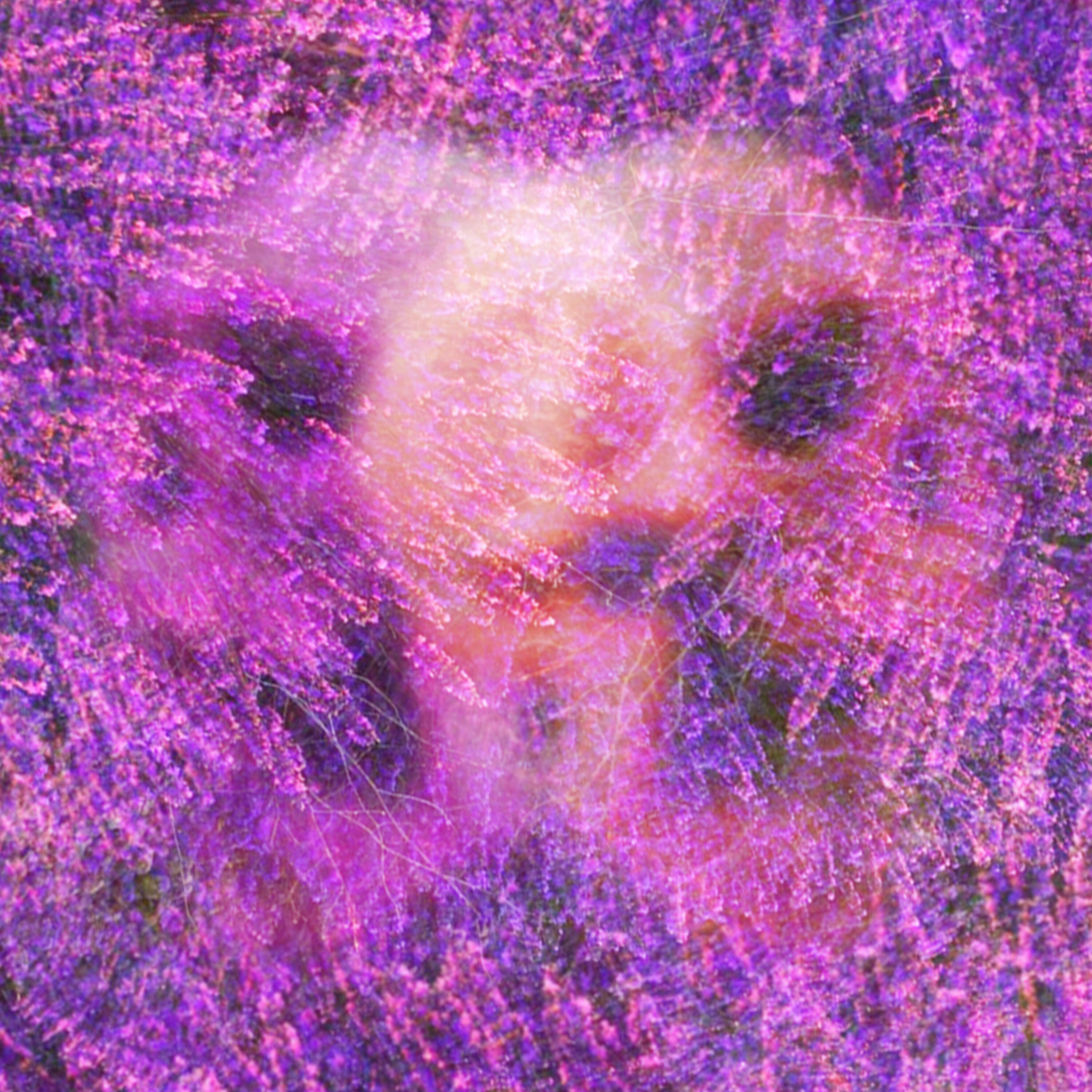 Релиз Death in Lavender