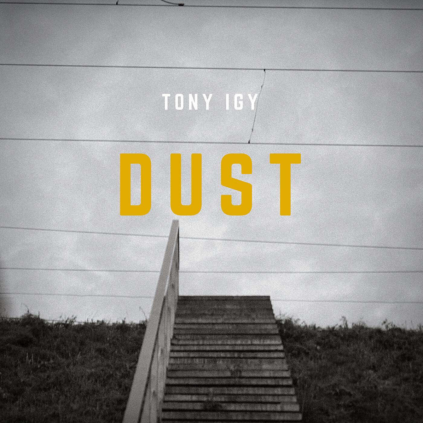 Релиз The Dust