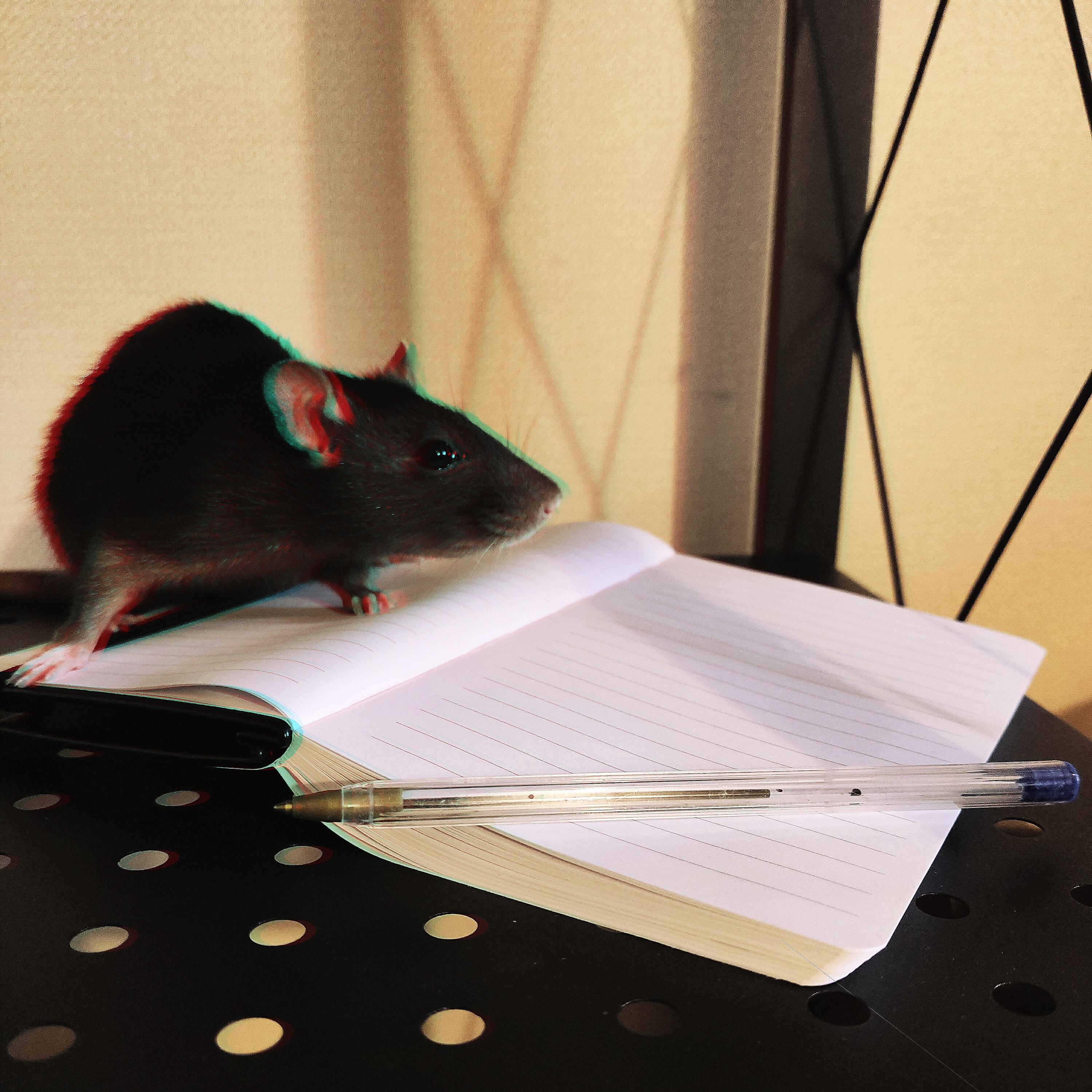 Релиз Кандидатская