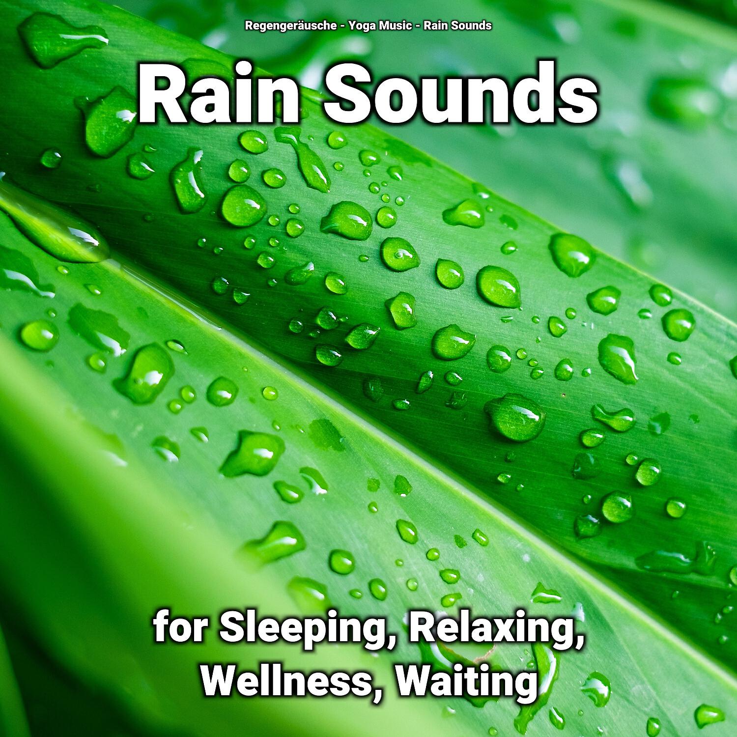 Релиз Rain Sounds for Sleeping, Relaxing, Wellness, Waiting