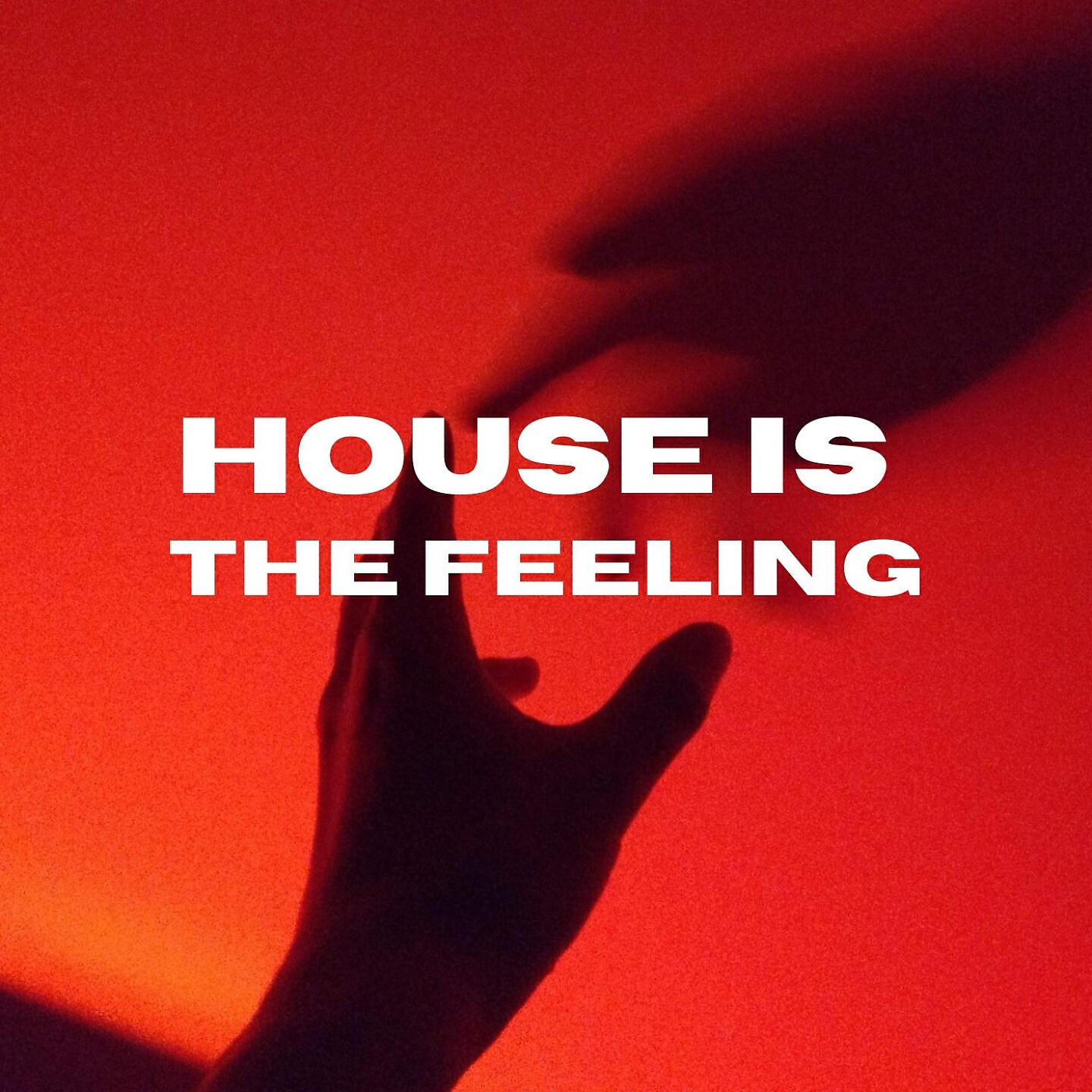Релиз House Is The Feeling