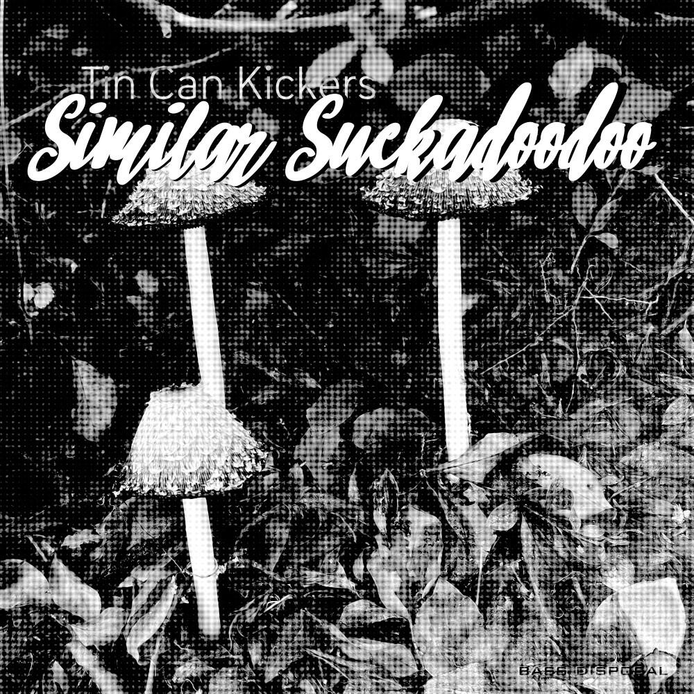 Релиз Similar Suckadoodoo