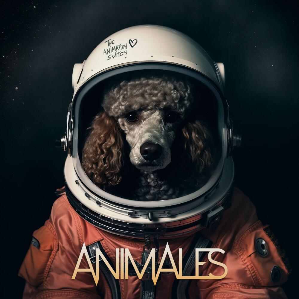 Релиз The Animation Switch