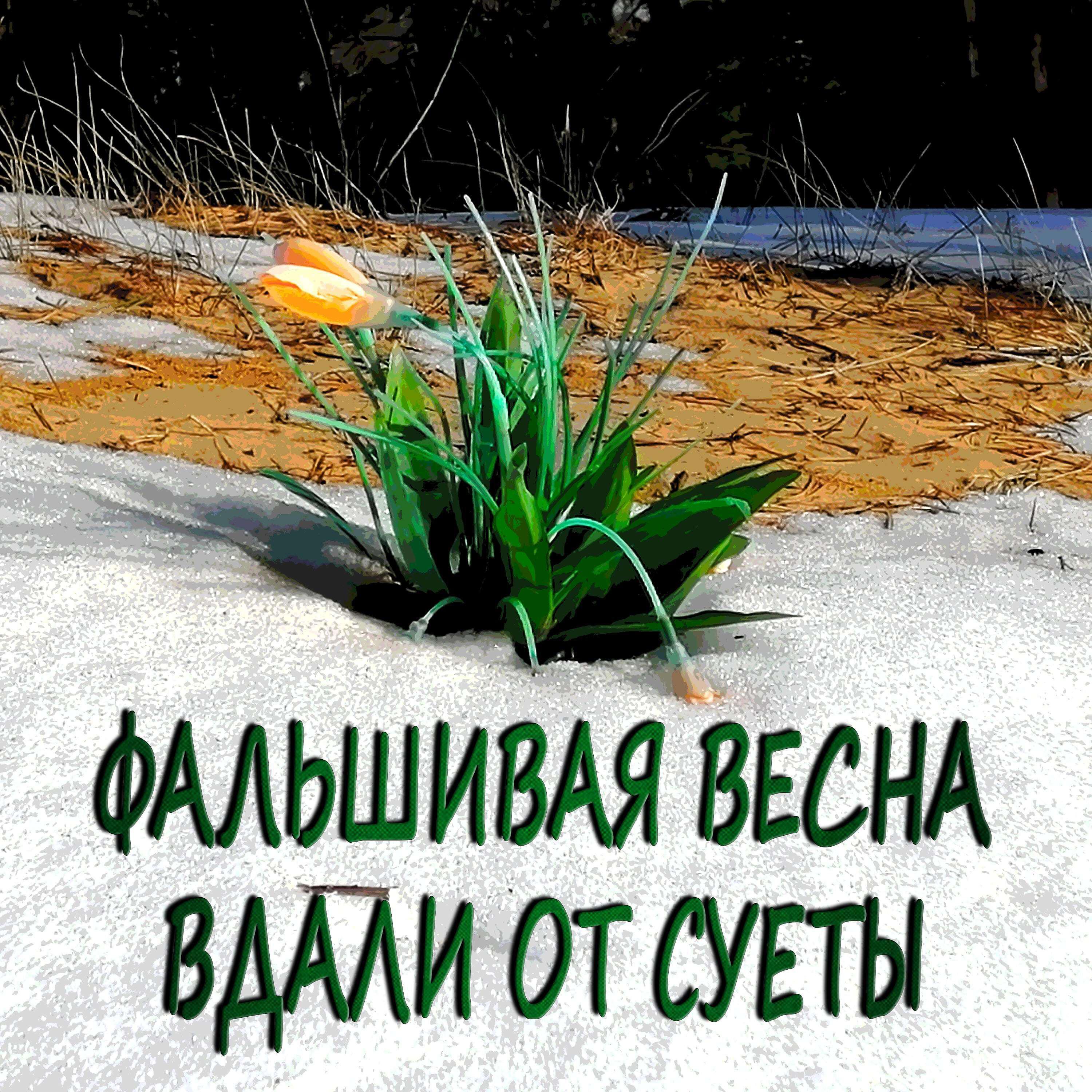 Релиз Фальшивая весна