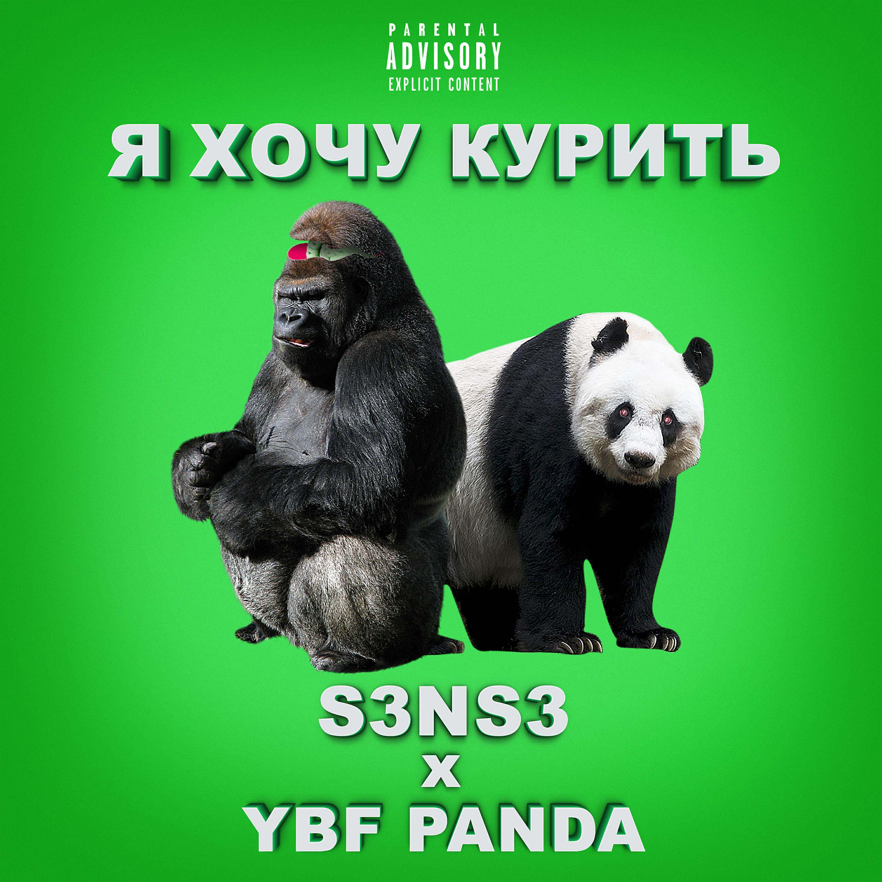 S3ns3