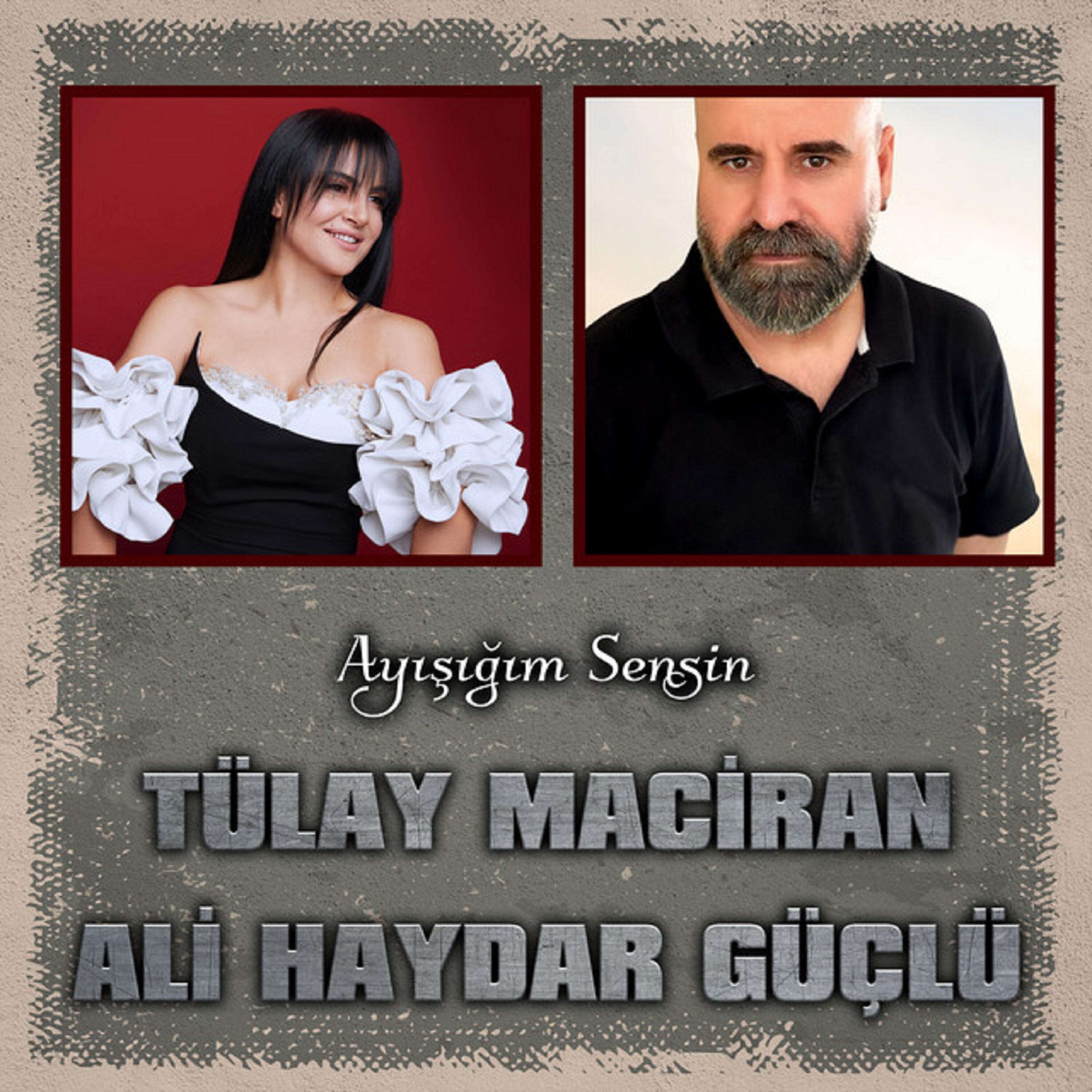 Ali Haydar Güçlü
