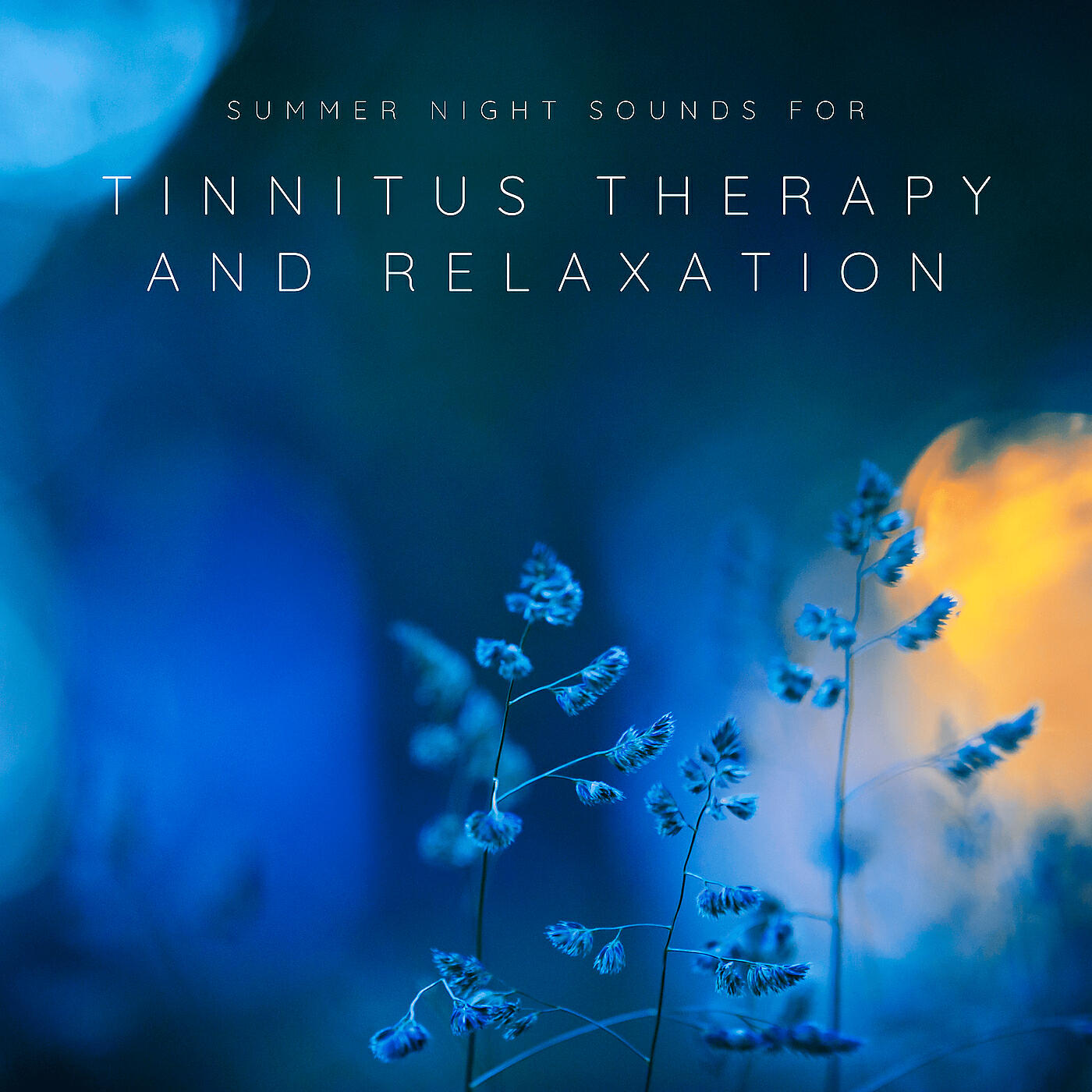 Релиз Summer Night Sounds for Tinnitus Therapy and Relaxation