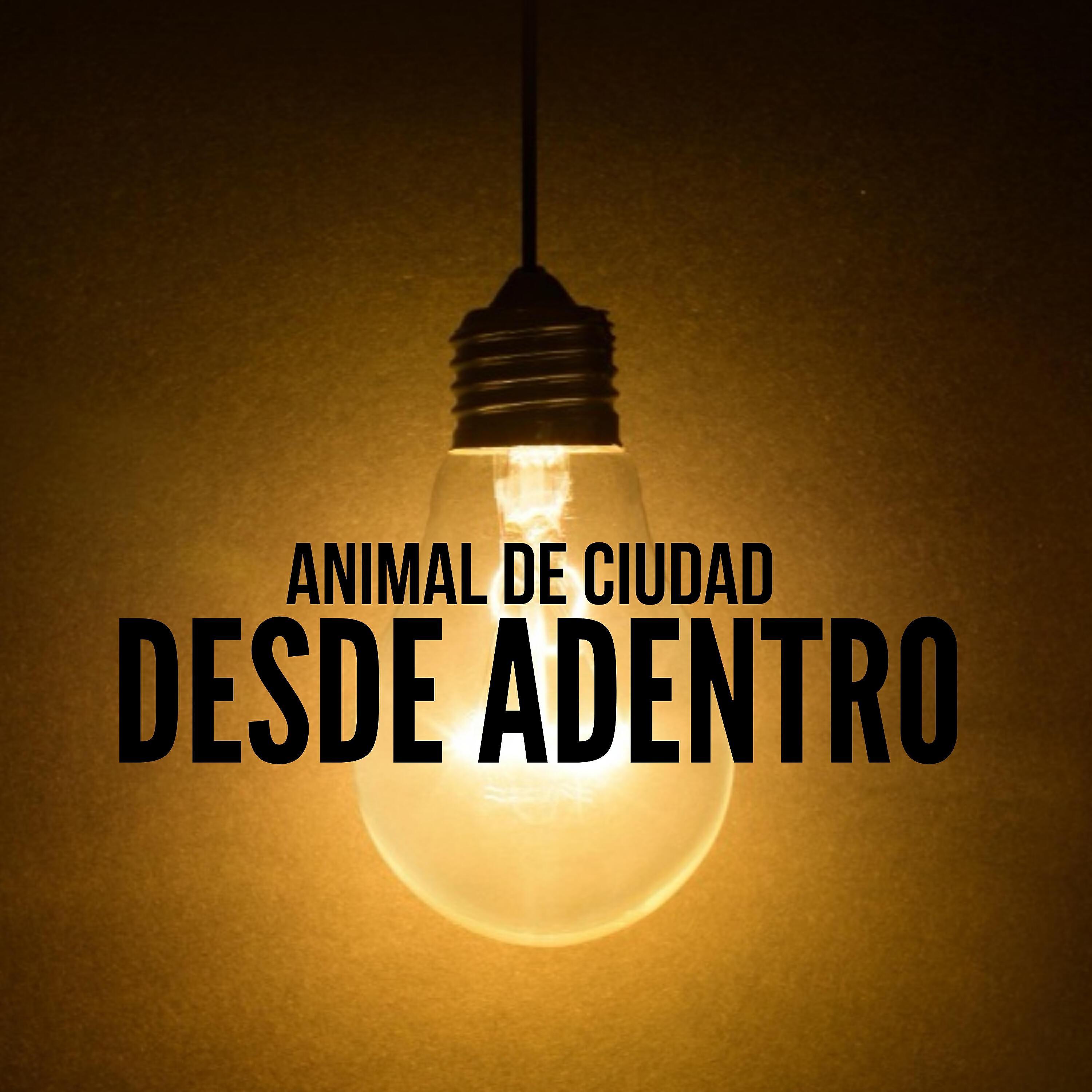 Animal De Ciudad